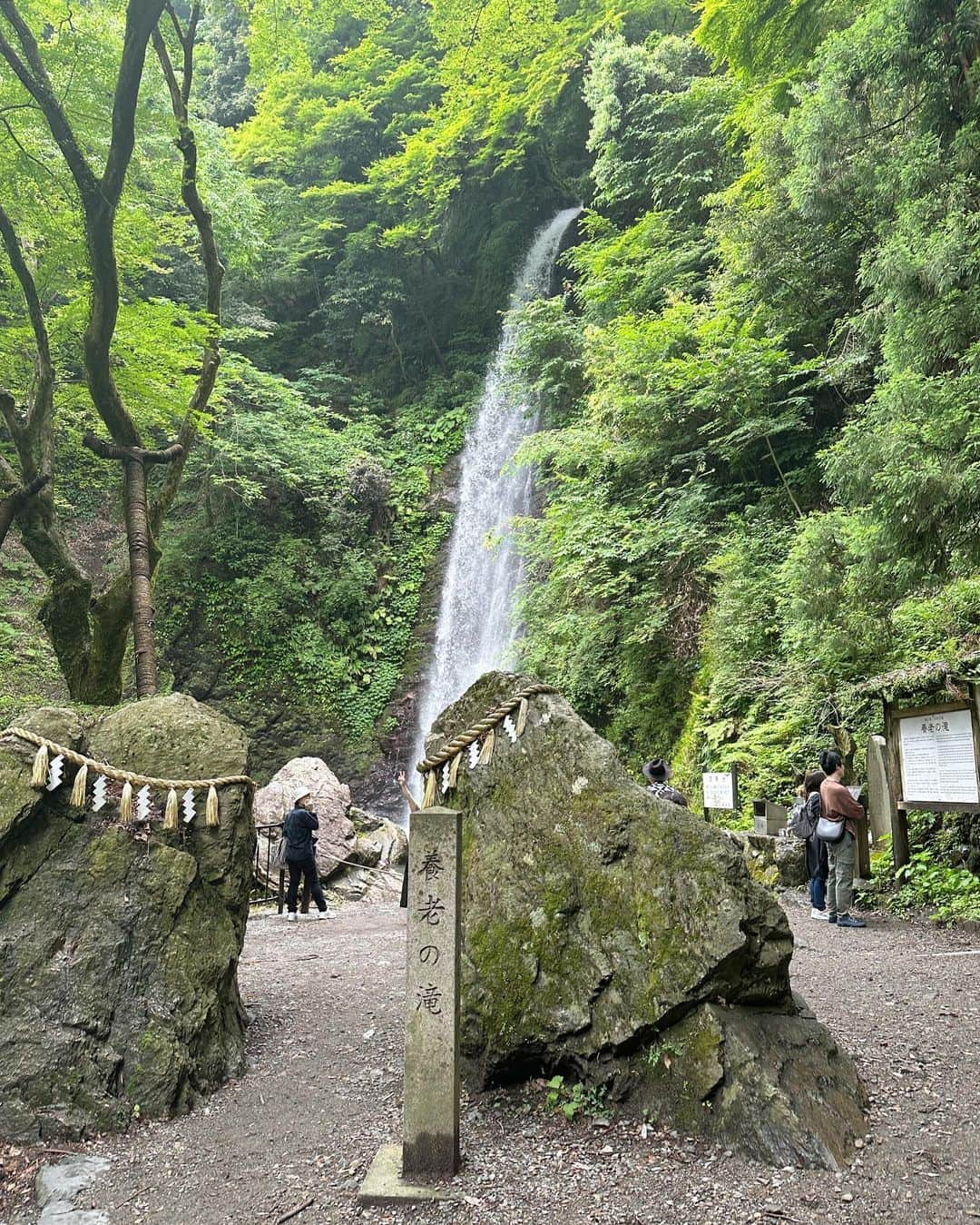 竹内佐織さんのインスタグラム写真 - (竹内佐織Instagram)「最近あんまりいいことないから、 地元に寄ったついでに滝行ってきた✌️ . . #養老の滝　#滝 #パワースポット #岐阜　#岐阜観光 #ミスユニバース岐阜 #岐阜旅行 #大垣 #日本旅行 #japantravel #japantrip #japantravelphoto #photogram」6月14日 17時15分 - takeuchi_saori_official