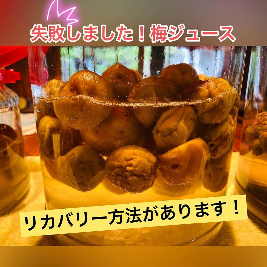 通潤酒造株式会社のインスタグラム