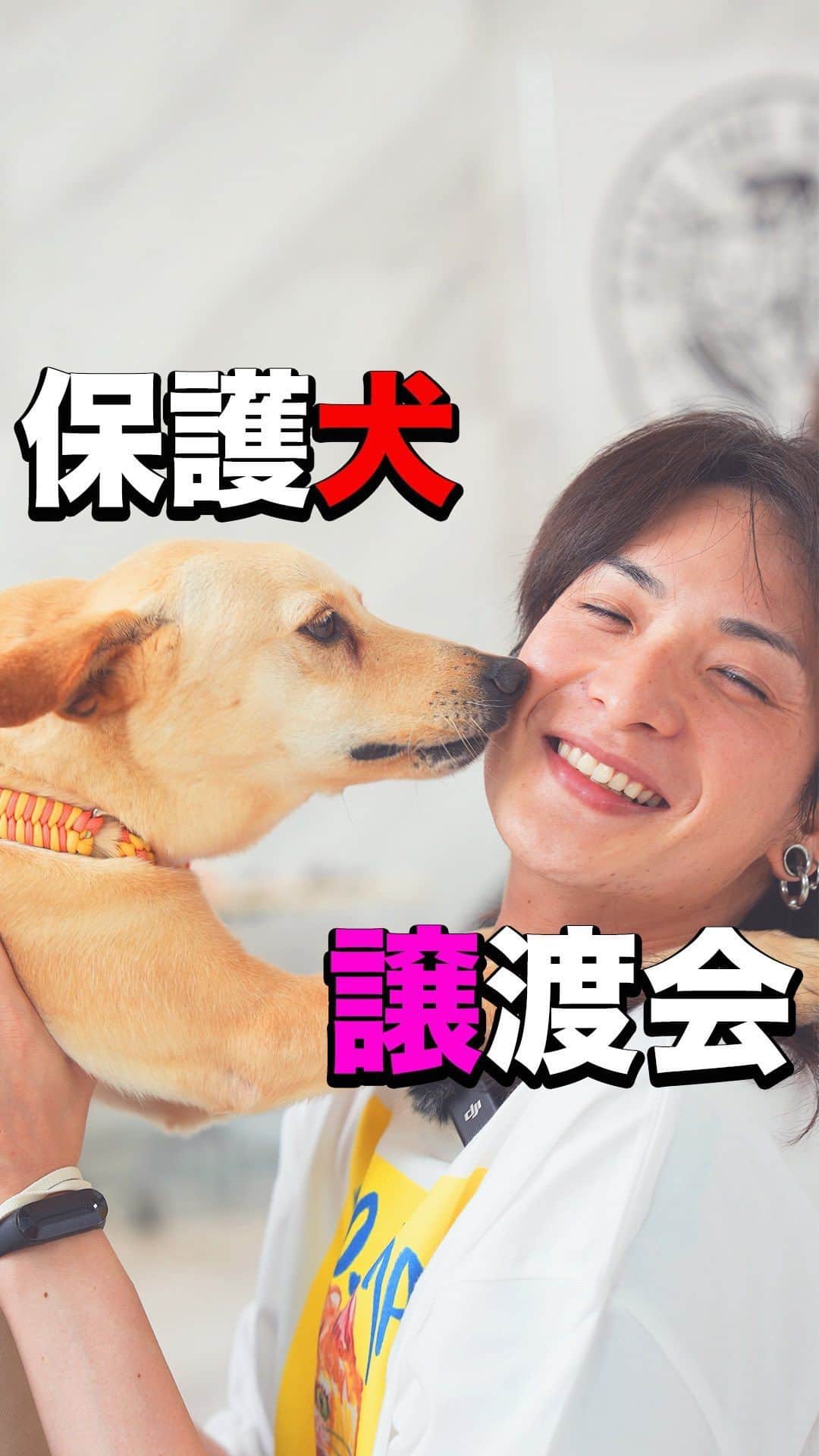 小野裕人さんのインスタグラム動画 - (小野裕人Instagram)「保護犬の譲渡会イベントの会場で「宮古島セーブザアニマルズ」のチャリティー
