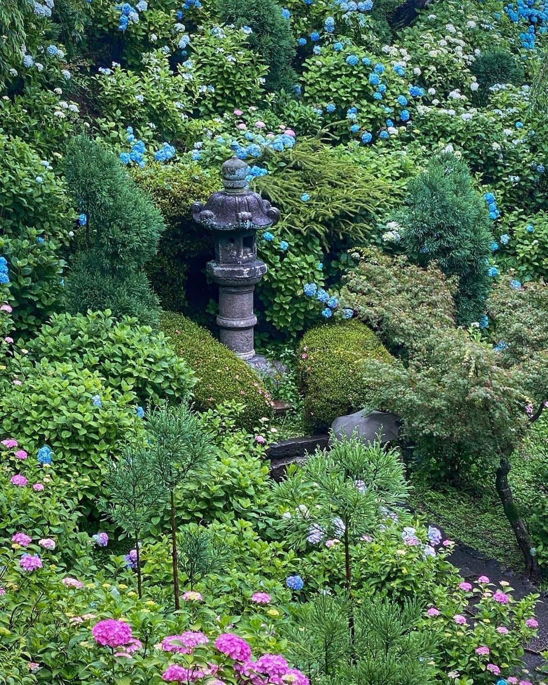 hama_aki_pppさんのインスタグラム写真 - (hama_aki_pppInstagram)「京都市西京区#善峯寺 (スライドしてください)  Loation Kyoto Japan (Swipe)   2023.06.11   さすてな京都と同じ日に訪れました この時はまだ雨が残っていて傘を差しながら撮影　 紫陽花は雨の方がいきいきしてるかも🌸🌸☔️   #神社仏閣  #日本の美しい花風景  #こころから  #関西でお写んぽ  #そうだ京都行こう  #おとな旅プレミアム  #タビジェニ　 #日本庭園  #紫陽花  #otonatabi_japan  #japanesetemple  #jalan_travel  #kyototemple #ig_japan_  #ptk_japan  #histrip_japan  #visitjapanjp  #japanese_gardens  #loves_united_flora  #infinity_flowers  #lovely_flowergarden  #j_flower_shots  #photoshorttrip  #special_spot_legend  #beautiful_photo_jpn  #iphonephotography  #iphoneonly  #shotoniphone  #iphonephotographer」6月14日 18時03分 - hama_aki_ppp