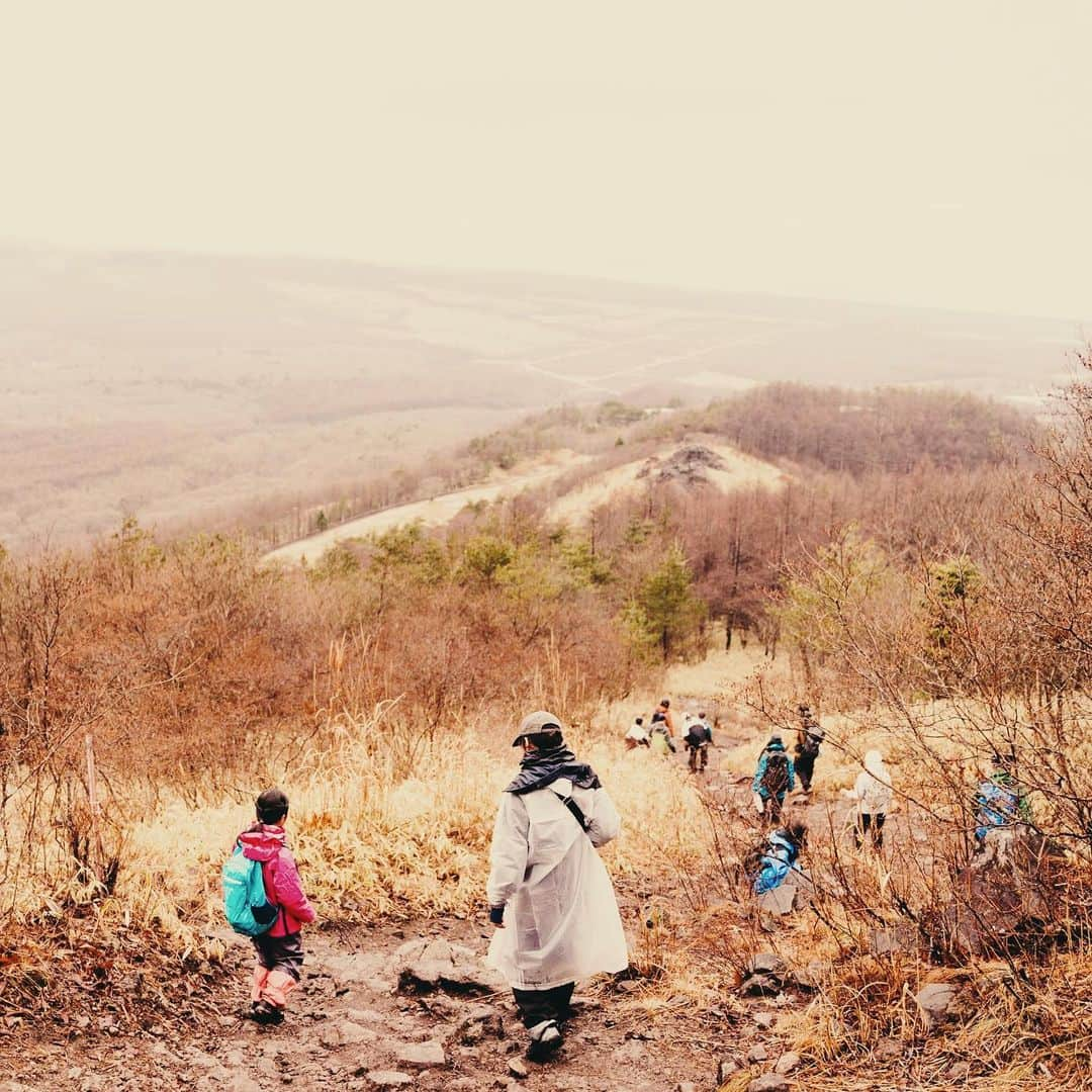 中瀬萌さんのインスタグラム写真 - (中瀬萌Instagram)「@gen.natureexperience  / @sanu_com 主催  少し時間が経ってしまいましたが。  ⁡山梨県八ヶ岳麓にて、ハイキング、アートワークを中心に今回も  @gen.natureexperience  とともにネイチャースクールを開催、アートの時間での講師をさせていただきました。三回目のプログラム。  ⁡ まずは初日、寒い霧の中の集合、早速ハイキングへ。 雨が嫌だ！の声を心配していたけれど、(大人だって雨なら今日は山はやめとこう、と、そんなこと言い出しがちだよね。)でも大人の心配をよそに、そんな状況と環境すらも 子供たちは楽しむ才能をもっている。  全員が泥だらけになり、土を触り、植物を集めて、 真っ白な霧と雨雲が、待ってましたとばかりに開ける瞬間とその光景を見た子供達の嬉しそうな表情が忘れられない。  そして、雨の午後は室内でパラコードのワークショップ。一本の紐がいくつもの役割を持ち、自分自身や、人を助けるお守りの役割になって欲しいという願いを込めて今回はこのワークショップを。  @b__bloom__  みさきちゃんのこのワークショップでみんな新しいスキルをゲット、山で、生活で使おう！ ⁡ そして最終日、アートの時間。 ⁡ 私の今回の子供達とのテーマは、 “ 触って見て確かめる、観察を想像と創造に変える “ ⁡ ⁡ 自分達で拾い集めた枝や葉、木の実を使って二つのアートワークを行いました。 ⁡ 一つ目は拾ってきたものを粘土に押し付けて石膏で型取り。サッと感覚で拾ってた植物はどんな葉脈や表皮、殻の形をしているのかを触って確かめる。お家に持って帰っても、この時拾ってきたものを触ってずっと思い出せるような壁飾りに。 ⁡ 二つ目は、自分のポスターを作りました。お題は、そっくりでも、そっくりでなくても、選んだその植物達を、とにかく自分の好きな姿、色で描く。好きに描いて良いんだ、と自分を信じること。 ⁡ 拾ってきたものを横に置きながら子供達からしか見れない視点でその姿を描きました。 ⁡ 子供達それぞれ、森をじっくりみつめることと同時に自分の感覚を磨くこと発見すること。 観察する。そうすることで物事や自然を知ることができ、自分の想像と創造力を育ててくれる土壌になることを願って。 ⁡ 子供達がもっと、もっと 自然にのなかにいることが自然になりますようにと想い続けて。 またずっとこの先も、みんなと共に、どっぷりと自然の中で時間を過ごしていきたい。土に触れてわたしたちは人間になる🌿  今回も共に行うことを提案してくれてありがとう。  主催  @gen.natureexperience  ⁡ photo @kosuke_kobayashi   主催・photo @isagi.f.de_le_rue  ⁡  support / teacher @b__bloom__ @nn.m___  この夏も、  @gen.natureexperience  にて Gen.nature school 2023 が開催！場所は浅間山にて！ またみんなと会えますように！」6月16日 17時30分 - moe0814n