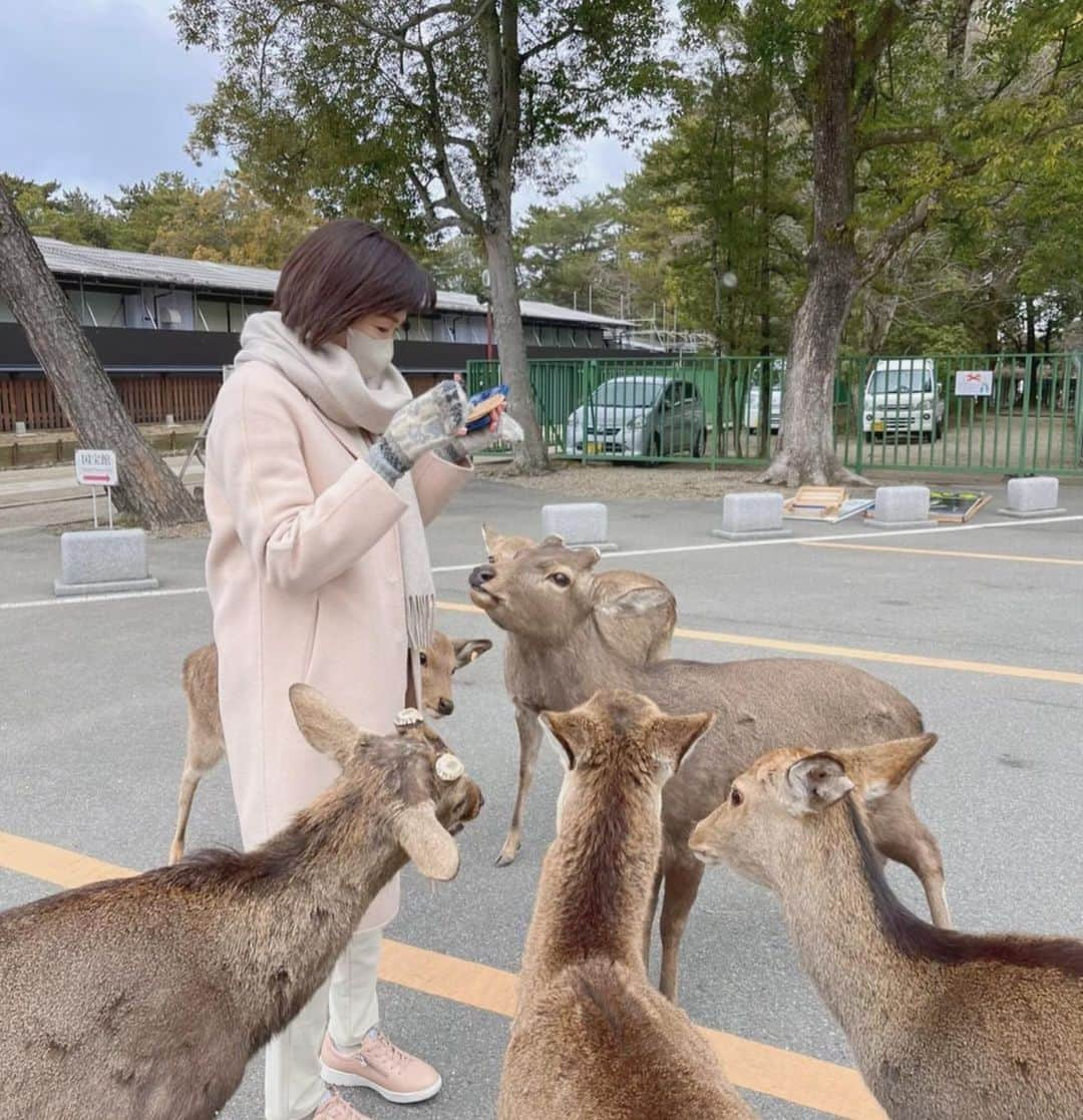 高島礼子のインスタグラム