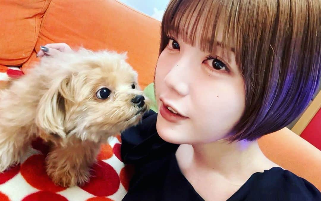 青木歌音のインスタグラム：「久しぶりの実家いぬ。 髪をエクステでいつもお世話になってるYU HOUSE BIJOUの会津さんにやってもらいました🤍🤍🤍  実は顔周りの毛って切りすぎて無いんだけど、見事にエクステで復活して小顔効果炸裂してるゾ。#YUHOUSE」