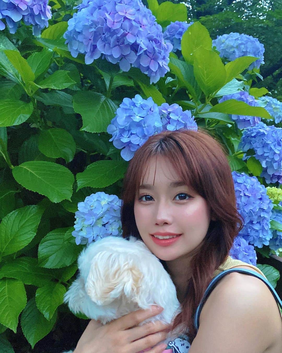 相原美咲さんのインスタグラム写真 - (相原美咲Instagram)「紫陽花💠 好きなお花です😊 今日もお疲れ様でした🧜‍♀️ 👙イベント👙 ...