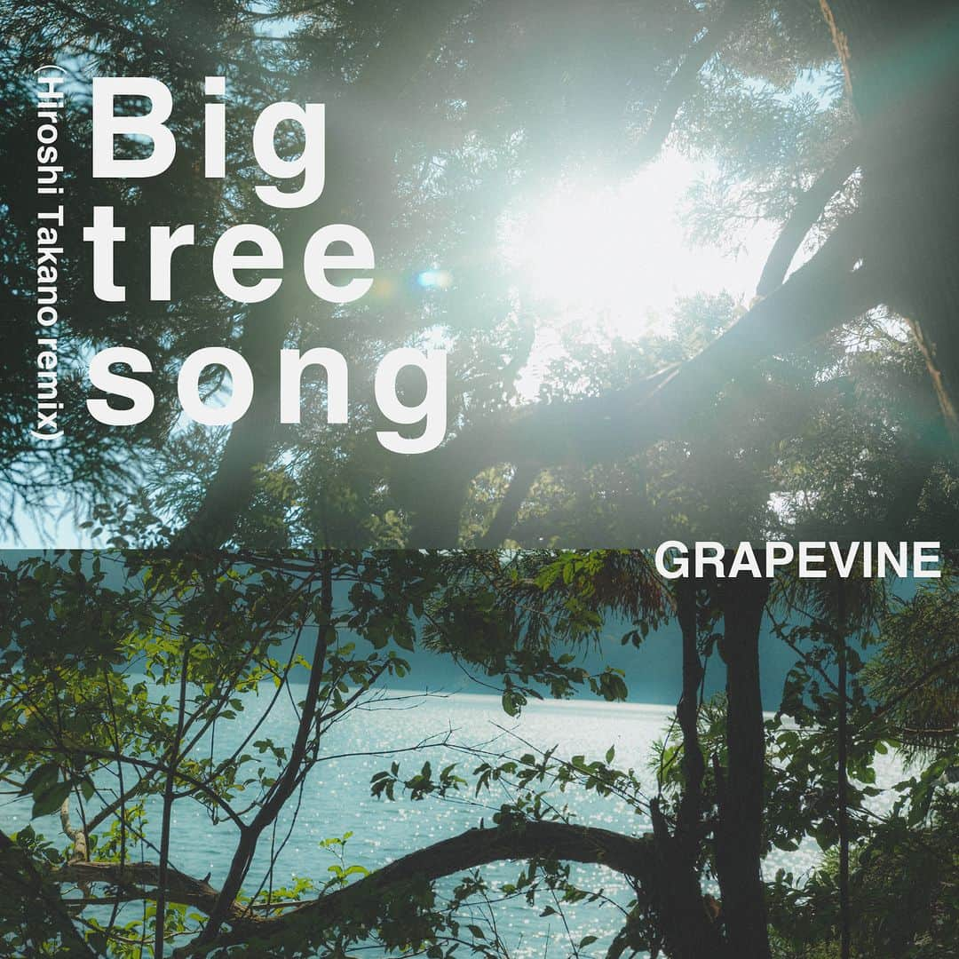 GRAPEVINEのインスタグラム