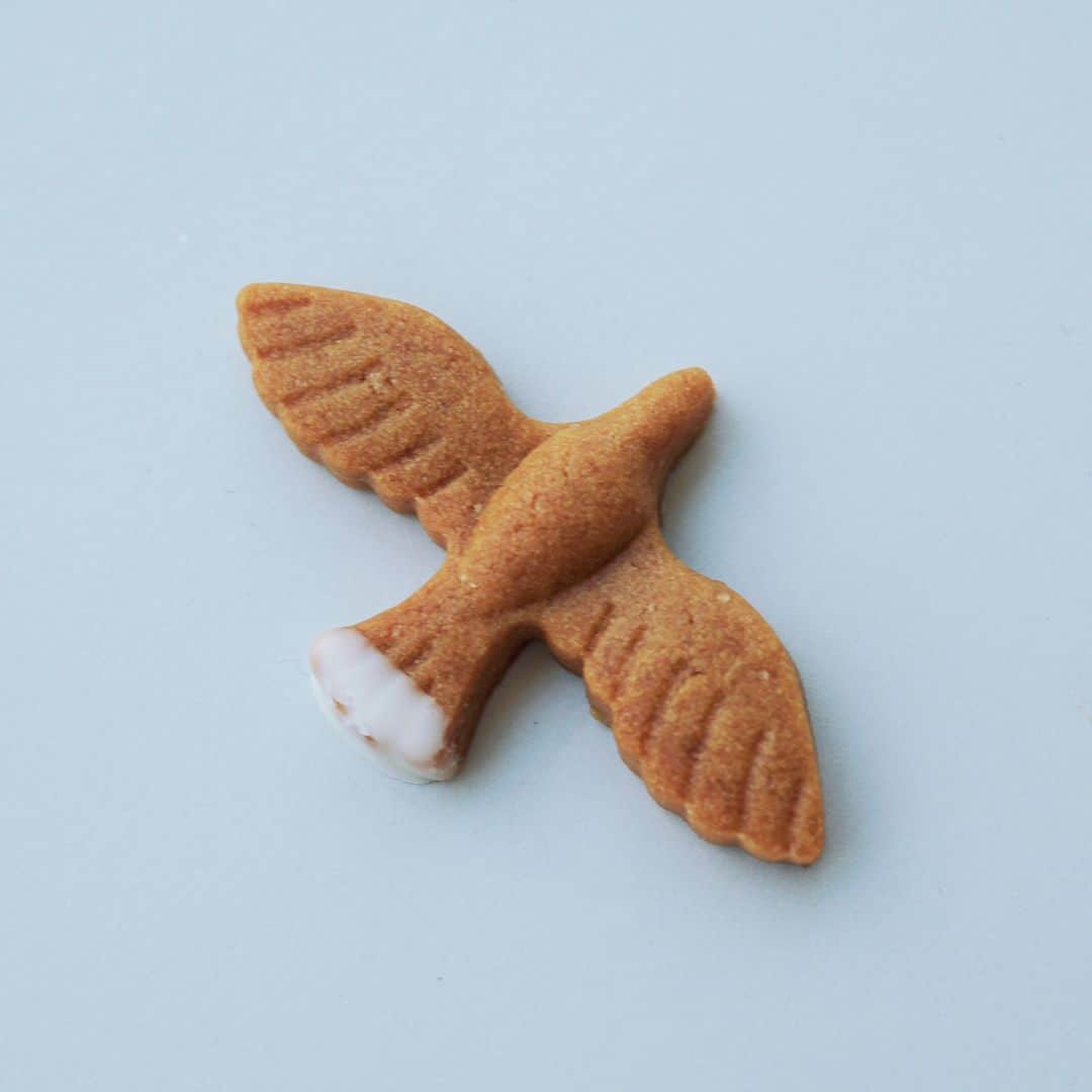 SPURさんのインスタグラム写真 - (SPURInstagram)「天然記念物です。羽ばたく姿は幅2メートルにもなるという、#オジロワシ。VOSTOKがその美しい姿をカラメルクッキーにしました。ケースには10羽のオジロワシ。白いところはチョコレートです。いつか知床で観察してみたいなぁ。  #VOSTOK #🕊️ #焼き菓子 #クッキー #Cookie #SPURおやつ部 #SPUR #SPURmagazine #おやつ #今日のおやつ #3時のおやつ #おやつの時間 #おやつタイム」6月14日 21時00分 - spurmagazine