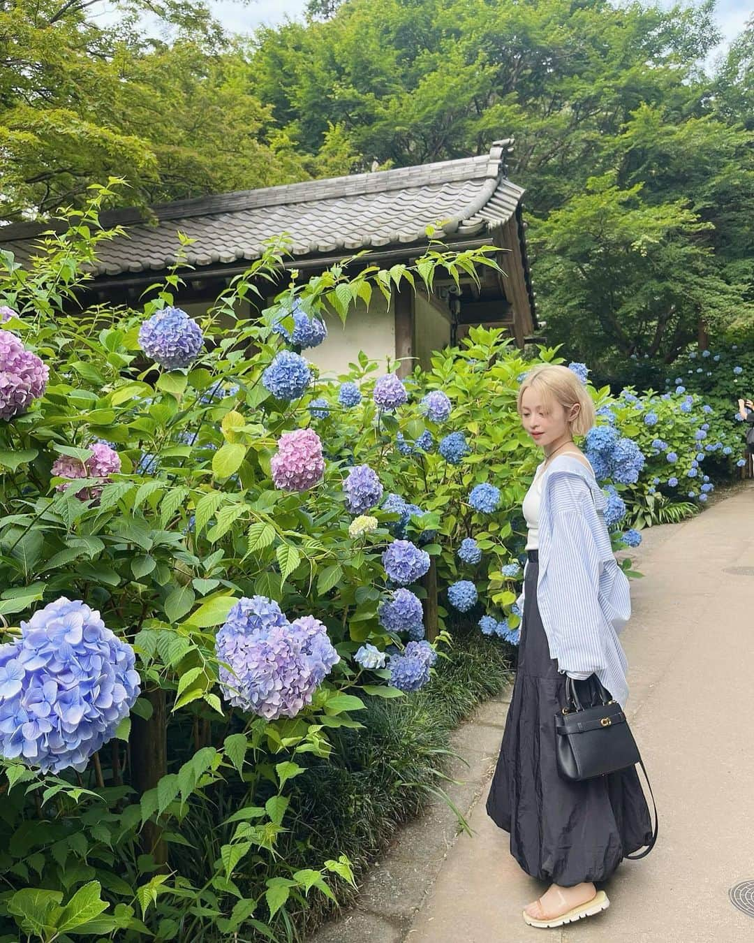 じゅりさんのインスタグラム写真 - (じゅりInstagram)「あじさい寺 明月院💠  気になってたところにやっと行けました🫶ˎˊ˗ 自然を久しぶりに見に行ったけど やっぱすっごく癒されたし疲れもとれた気がする🥹🫧 いいリフレッシュになりました🙆‍♀️♡ すごく雰囲気が好きで北鎌倉また遊びに行きたい！ 他にいいスポットあれば教えて欲しい😚💫  そして湿気で髪の毛ボサボサなの悲しみ😭（笑）  ✔︎コーデ詳細 シャツ: @shein_japan  キャミ: @grl_official  スカート: @grl_official  サンダル: @beautyandyouth_official  バッグ: @charleskeith_jp   #鎌倉観光 #鎌倉 #明月院 #あじさい寺 #紫陽花 #鎌倉カフェ #カフェ巡り #カジュアルコーデ #grlコーデ #sheinコーデ #プチプラコーデ #低身長コーデ #ハイトーンボブ #ボブ」6月14日 21時21分 - juripuuu