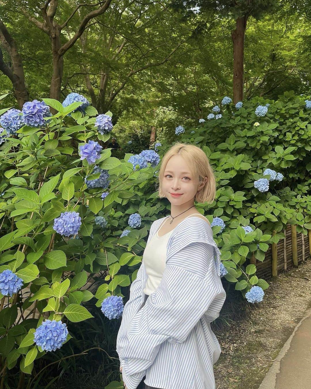 じゅりのインスタグラム：「あじさい寺 明月院💠  気になってたところにやっと行けました🫶ˎˊ˗ 自然を久しぶりに見に行ったけど やっぱすっごく癒されたし疲れもとれた気がする🥹🫧 いいリフレッシュになりました🙆‍♀️♡ すごく雰囲気が好きで北鎌倉また遊びに行きたい！ 他にいいスポットあれば教えて欲しい😚💫  そして湿気で髪の毛ボサボサなの悲しみ😭（笑）  ✔︎コーデ詳細 シャツ: @shein_japan  キャミ: @grl_official  スカート: @grl_official  サンダル: @beautyandyouth_official  バッグ: @charleskeith_jp   #鎌倉観光 #鎌倉 #明月院 #あじさい寺 #紫陽花 #鎌倉カフェ #カフェ巡り #カジュアルコーデ #grlコーデ #sheinコーデ #プチプラコーデ #低身長コーデ #ハイトーンボブ #ボブ」