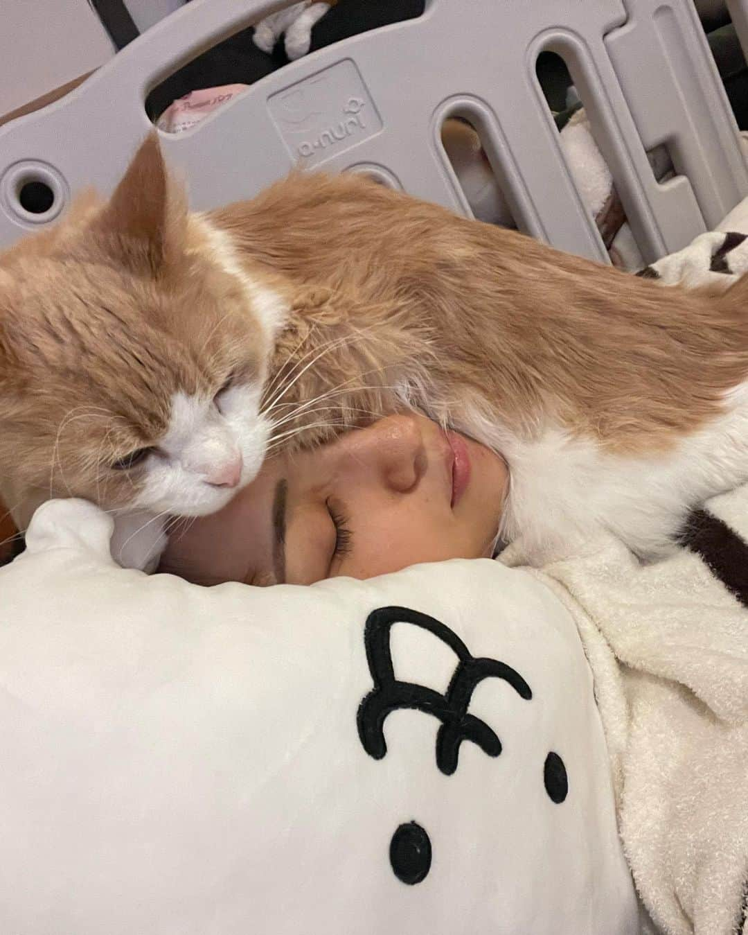 かまいたち山内と、猫たちさんのインスタグラム写真 - (かまいたち山内と、猫たちInstagram)「先日、モカが虹の橋を渡りました🌈 もうすぐで12歳でした。 モカは約3年間ほぼ毎週病院へ通い、毎日皮下点滴をして 毎日お薬を飲んで、時には入院して。 本当に本当に頑張ってくれました。 皮下点滴も嫌がらず、とても強い子でした。 そして病院の先生やスタッフの皆様にもとても甘えて可愛がられて、入院の時もリラックス出来るほど懐いていました☺️ 1番甘えん坊で、人の頭に自分の顔を埋めて寝るのが大好きな子でした。 目が合えば喉を鳴らしてニコニコしてくれて。 可愛い声でお返事をしてくれる、とても可愛いそして強い子でした。 最期まで本当に頑張りきりました！  今は寂しくてたまらない毎日ですが、前を向いて進んでいこうと思います。  いつもモカのことを気にかけて頂き、本当にありがとうございました☺️ どうか、お疲れ様と言ってあげてください。 皆様にもニコニコ笑顔で応えてくれていると思います🐈 #やまうちともか」6月14日 21時27分 - kamaitachi.neko.6.neko