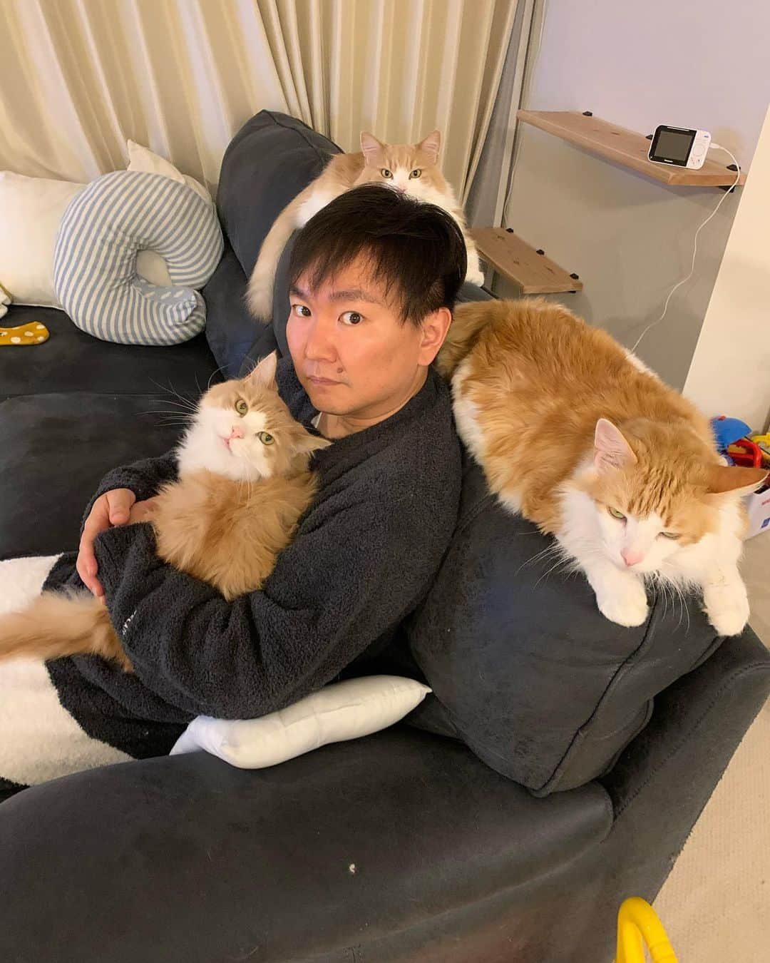 かまいたち山内と、猫たちさんのインスタグラム写真 - (かまいたち山内と、猫たちInstagram)「先日、モカが虹の橋を渡りました🌈 もうすぐで12歳でした。 モカは約3年間ほぼ毎週病院へ通い、毎日皮下点滴をして 毎日お薬を飲んで、時には入院して。 本当に本当に頑張ってくれました。 皮下点滴も嫌がらず、とても強い子でした。 そして病院の先生やスタッフの皆様にもとても甘えて可愛がられて、入院の時もリラックス出来るほど懐いていました☺️ 1番甘えん坊で、人の頭に自分の顔を埋めて寝るのが大好きな子でした。 目が合えば喉を鳴らしてニコニコしてくれて。 可愛い声でお返事をしてくれる、とても可愛いそして強い子でした。 最期まで本当に頑張りきりました！  今は寂しくてたまらない毎日ですが、前を向いて進んでいこうと思います。  いつもモカのことを気にかけて頂き、本当にありがとうございました☺️ どうか、お疲れ様と言ってあげてください。 皆様にもニコニコ笑顔で応えてくれていると思います🐈 #やまうちともか」6月14日 21時27分 - kamaitachi.neko.6.neko