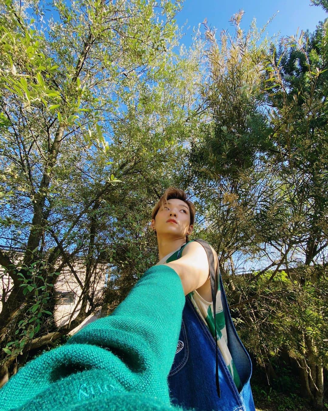 のインスタグラム：「🌲」
