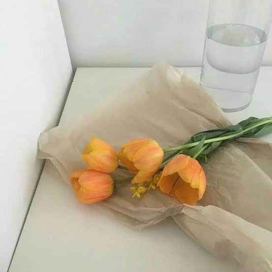 よしかわはるなのインスタグラム