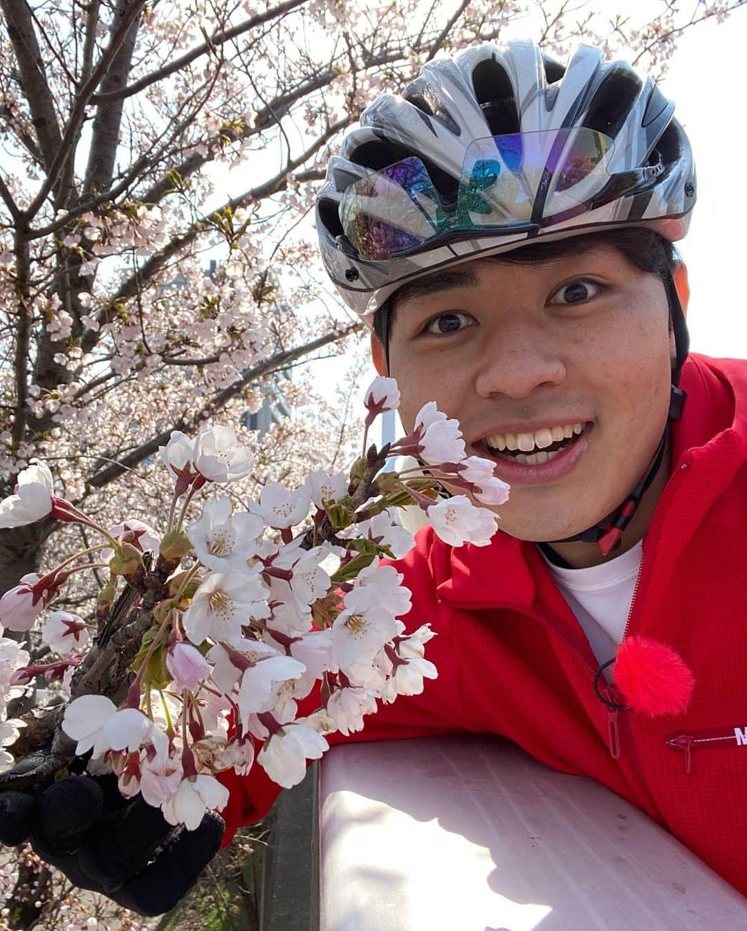 江上太悟郎のインスタグラム：「自転車で #桜 を巡る旅🚴🌸 (4月の写真です笑)  札幌近郊もいいけど #自転車キャラバン をまたやりたいな…と思う今日この頃😭 エネルギー溢れる各地の皆さんと出会えるあの旅が好きです😭  今年もやりたいなぁ… 時間見つけてプライベートで会いに行こうかな！  #みんテレ #道の駅完全制覇プロジェクト  #新ご当地グルメ発掘プロジェクト  #北海道の魅力  #北海道の魅力を伝えたい」