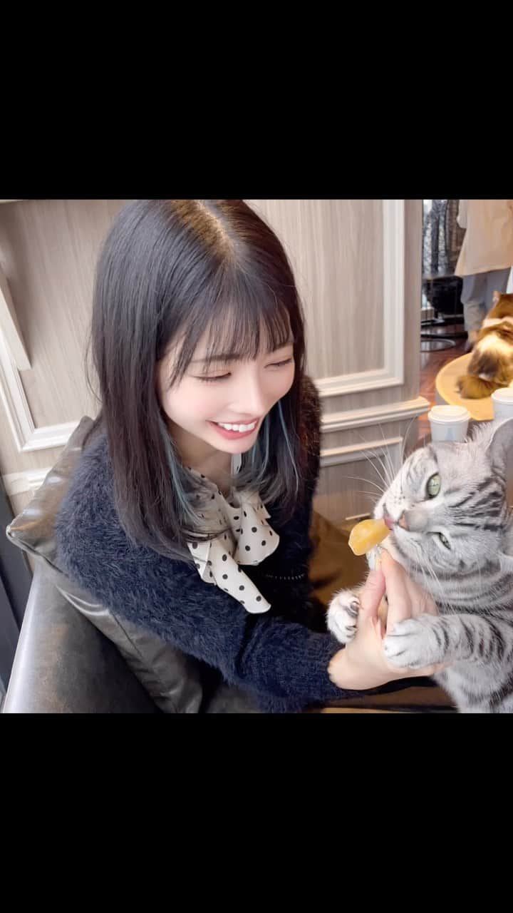 米倉みゆのグルメインスタ