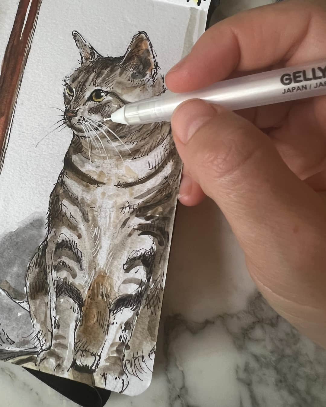 Sakura of America（サクラクレパス）さんのインスタグラム写真 - (Sakura of America（サクラクレパス）Instagram)「Hello everyone, it’s Samantha Dion Baker @sdionbakerdesign again. I love drawing the animals I meet, and recently fell in love with this rex cat while visiting a friend in Philadelphia. First, I sketched in very light pencil, and then inked the drawing using an 01 black Micron pen. I then finished the page using my Koi field sketch box and a few separate tubes of Koi watercolor paint in yellow ochre, gray, and Van Dyke brown.  I added the whiskers and a few furry details with a white Gelly Roll. You can see some of the stages of my process in these three slides.」6月15日 0時00分 - sakuraofamerica