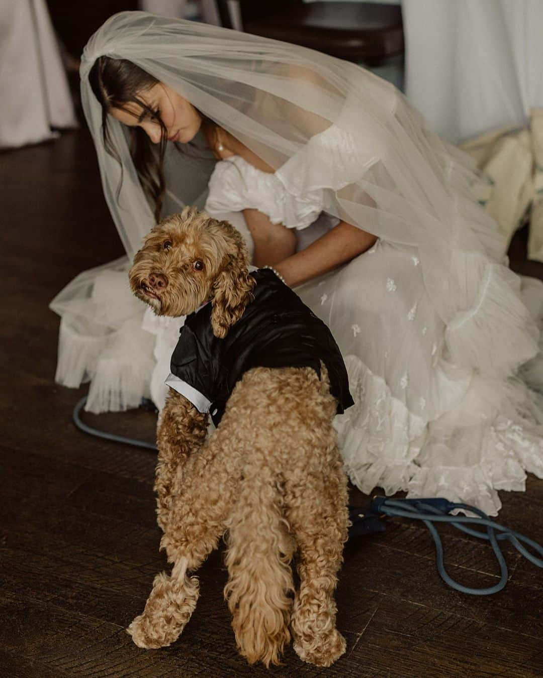 テイラー・ヒルさんのインスタグラム写真 - (テイラー・ヒルInstagram)「An update on Tate - HE MADE IT TO THE WEDDING! It was truly a miracle and I believe it was because he had so many people praying for him and sending him healing energy, that he was able to make it to our wedding. It meant so much to me to have him there with me on this day. There was a time earlier in the week that I thought he wouldn’t make it. It was the craziest timing with Tate’s health on a severe decline the week of our wedding and I’m just so happy he pulled through in the end. Today Tate is doing SO much better. We were able to get his feeding tube removed and he seems to have his appetite back and he’s eating again. He has energy and seems to be more like his normal self. He’s responding well to his medications and chemotherapy treatments. As long as he seems up for the fight so am I. So thank you yo everyone who held Tate close and in your heart. He was my first love so having him with me meant the world to me.」6月15日 5時26分 - taylor_hill