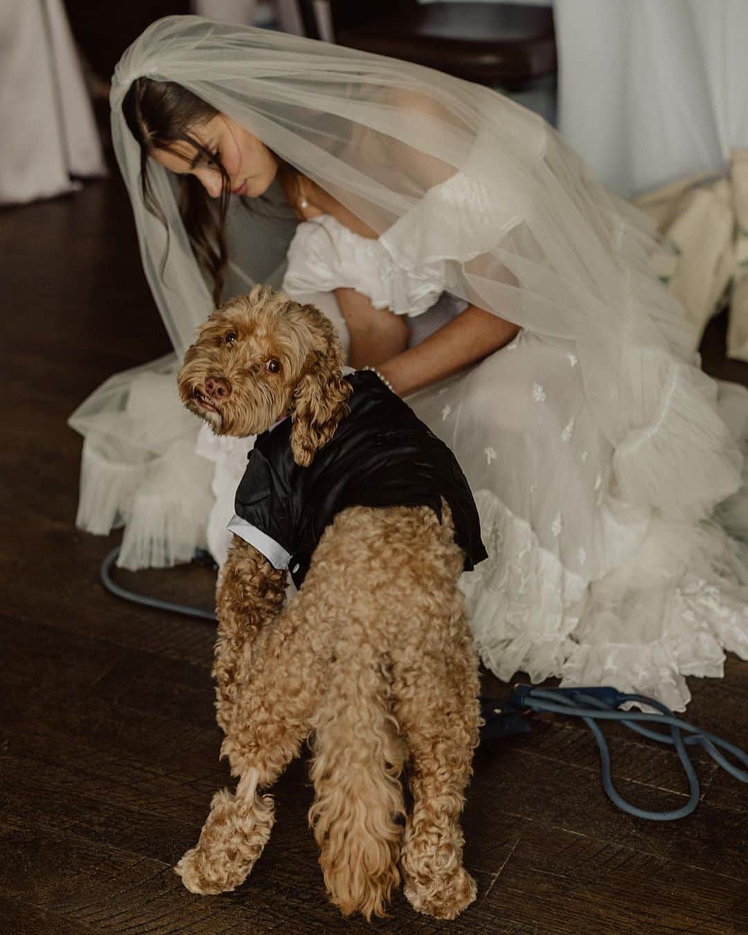 テイラー・ヒルのインスタグラム：「An update on Tate - HE MADE IT TO THE WEDDING! It was truly a miracle and I believe it was because he had so many people praying for him and sending him healing energy, that he was able to make it to our wedding. It meant so much to me to have him there with me on this day. There was a time earlier in the week that I thought he wouldn’t make it. It was the craziest timing with Tate’s health on a severe decline the week of our wedding and I’m just so happy he pulled through in the end. Today Tate is doing SO much better. We were able to get his feeding tube removed and he seems to have his appetite back and he’s eating again. He has energy and seems to be more like his normal self. He’s responding well to his medications and chemotherapy treatments. As long as he seems up for the fight so am I. So thank you yo everyone who held Tate close and in your heart. He was my first love so having him with me meant the world to me.」
