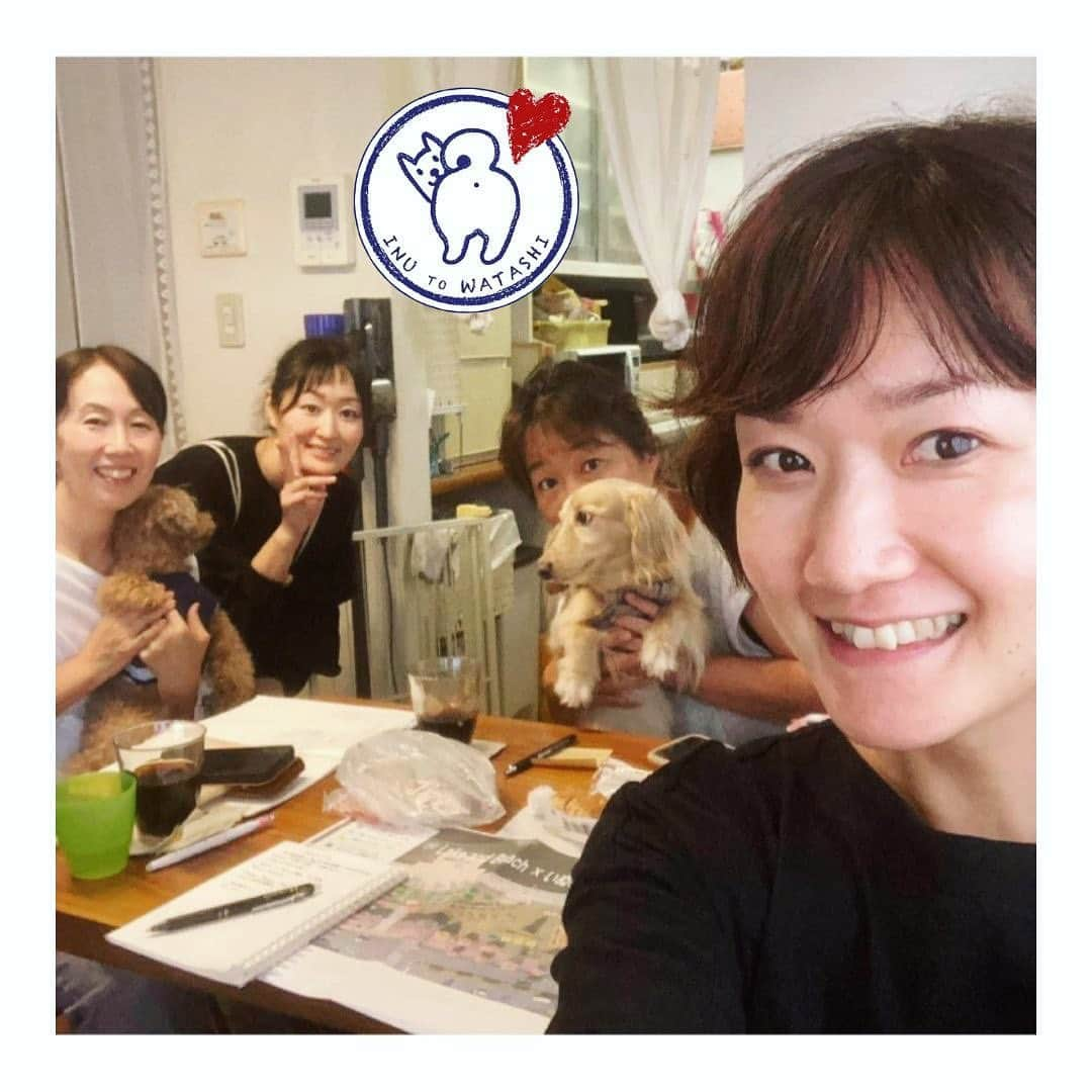 甲斐麻美さんのインスタグラム写真 - (甲斐麻美Instagram)「・ 今日は、いぬとわたしteamで集まりました！🐶  アレやコレや、 決定したり確認し合ったり整理したり✨ 今日も順調でした！😂(笑)  かわいいワンズも ミーティングに参加してる風で癒やされまくり！💓  いぬの夜まつりのことも たくさん整えましたよ💪🌝  夏ならではのおやつ 夏のお出掛けが楽しくなるファッションや小物 夏を快適に過ごすクールグッズなどなど🍉  夏！夏！ココナッツ！🥥  夏が楽しくなるアイテムが勢揃いの いぬの夜まつりになりそうです🌞🏖  出店者さんの紹介もお楽しみに🥳  ========================  Lake and Beach ×いぬの夜まつり ========================  ■日時：7月22日(土)16:00～20:00 ※雨天中止 場所：大相模調整池(レイクタウン) JR武蔵野線　越谷レイクタウン駅　徒歩7分 ▶出店者募集終了 ▶まもなくサポーター募集開始  #いぬのおまつり　 #いぬの夜まつり #よるんぽ #いぬの夜まつりでよるんぽ #イベント運営 #いぬとわたし #犬との暮らし #犬ファースト #犬好きさんと繋がりたい #犬がいないと生きていけません #犬好き #犬のイベント #犬イベント #ガーデンフェス #夏祭り #よるんぽ #水辺の南国」6月15日 0時15分 - inuto_watashi