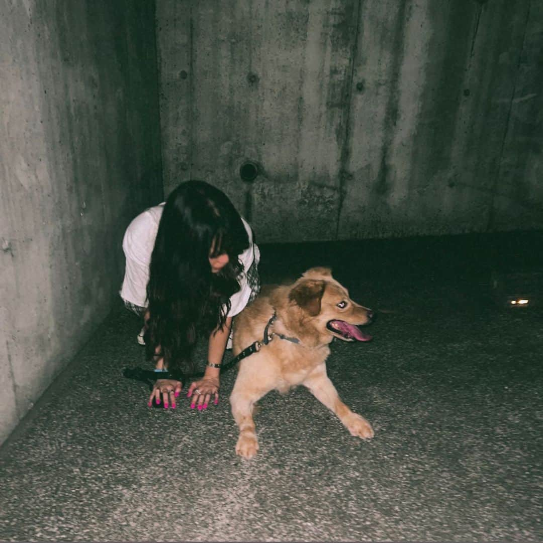 松林彩のインスタグラム：「なんでも話せる相棒🐕 パーフェクトスマイル❤︎」