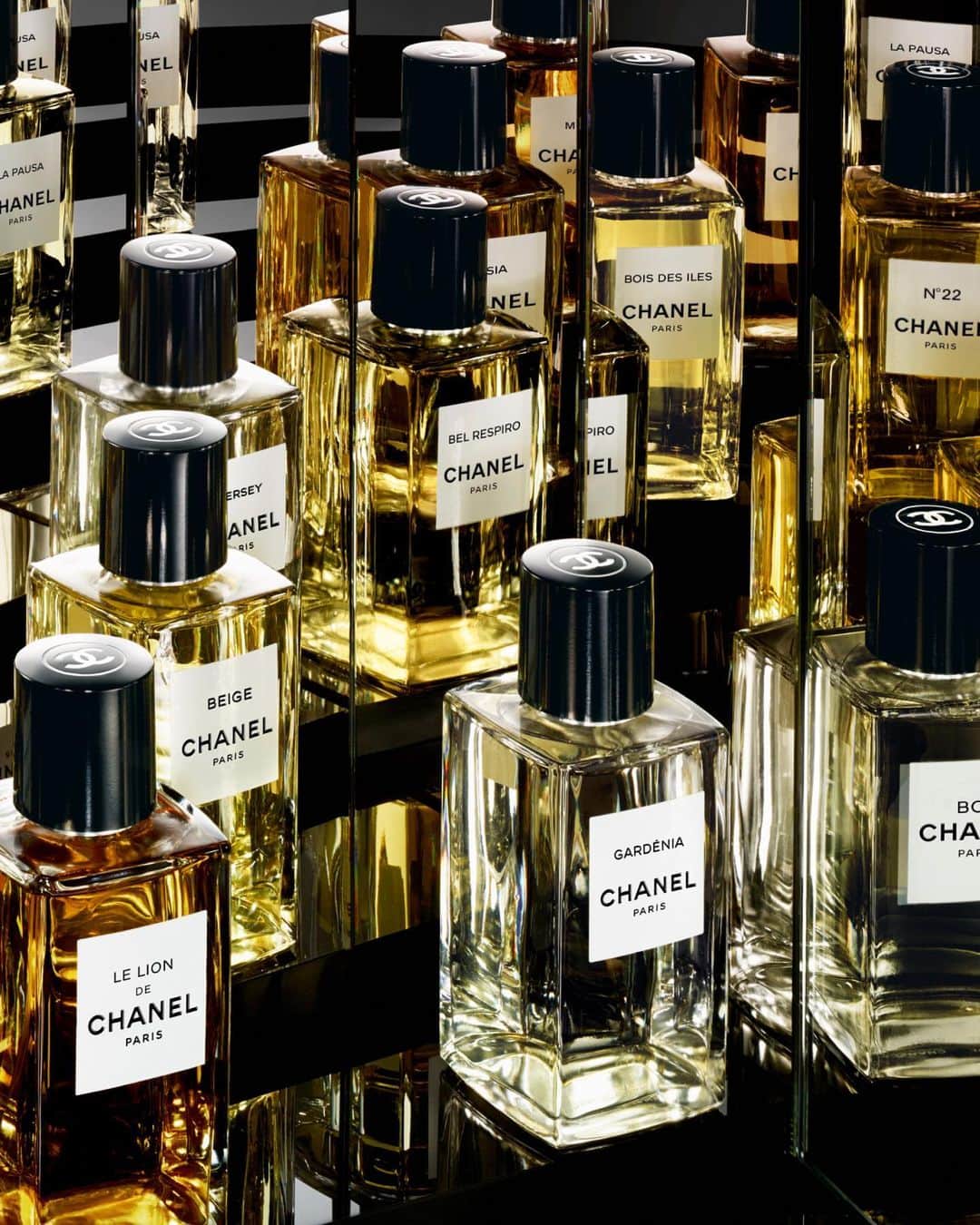 シャネルさんのインスタグラム写真 - (シャネルInstagram)「LES CARACTÈRES DE CHANEL  Each fragrance in the LES EXCLUSIFS DE CHANEL collection forms an olfactory portrait, which pleases some and not others but whose main characteristic is clear.    Learn more on chanel.com   #LesExclusifsDeCHANEL #CHANELFragrance」6月15日 1時16分 - chanelofficial