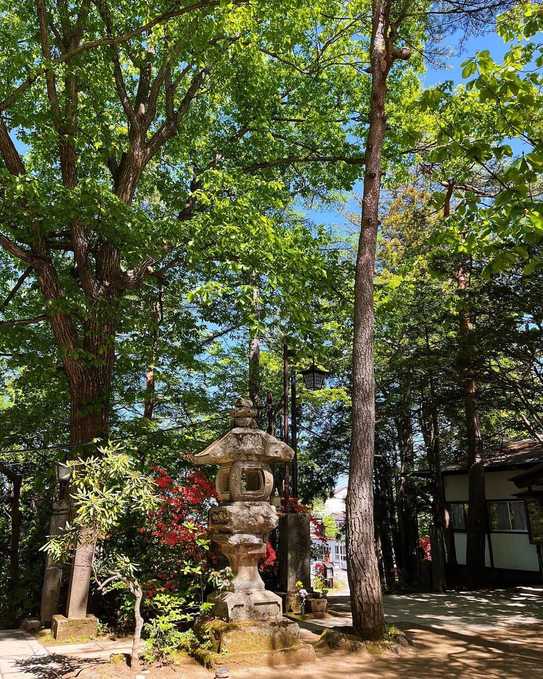 Шамов Дмитрийさんのインスタグラム写真 - (Шамов ДмитрийInstagram)「Еще немного Кусацу 🌿  Друзья, место и правда потрясающее! На канале можете посмотреть большое красивое видео отсюда 📹  Но хочу еще кое о чем рассказать.  У моих друзей из Краснодара есть фото и видео студия «Белый осел», и прямо сейчас они празднуют 9 лет! 🎉  В честь этого проводится большой розыгрыш, где можно выиграть iPhone, стабилизатор, карты памяти и фотоаппарат, который, кстати, я сам и помогал приобрести в Японии, когда сюда приезжали друзья.   Любой из вас может поучаствовать в розыгрыше, да и крутую фотосессию организовать в студии, тем более, если проживаете в Краснодаре 🔥  Просто подпишитесь на эти два аккаунта @white_donkey и @alex.lyagush  И участвуйте!   Я тоже поборюсь за iPhone, чтобы контент стал еще красочнее и красивее 😎 Ваши лайки, комменты и реакции помогут мне это сделать 😊 Заранее благодарю вас за поддержку!  #япония #токио #кусацу #путешествие #шамовдмитрий #горячийисточник #онсен #природа #japan #tokyo #kusatsu #kusatsuonsen #travel #photography #nature #shamovdmitry #日本 #草津 #草津温泉 #外国人 #外人」6月15日 2時07分 - shamovdmitry