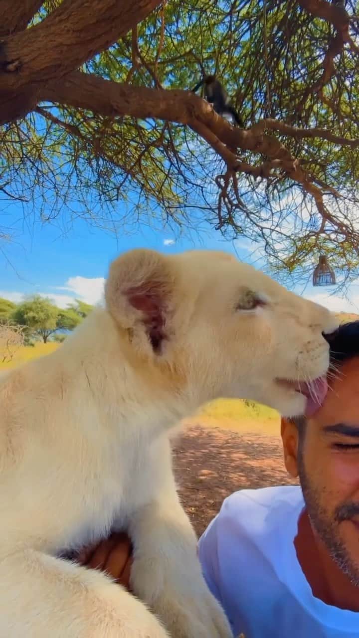 سعودのインスタグラム：「Here we go with Casper 🫶🏼」