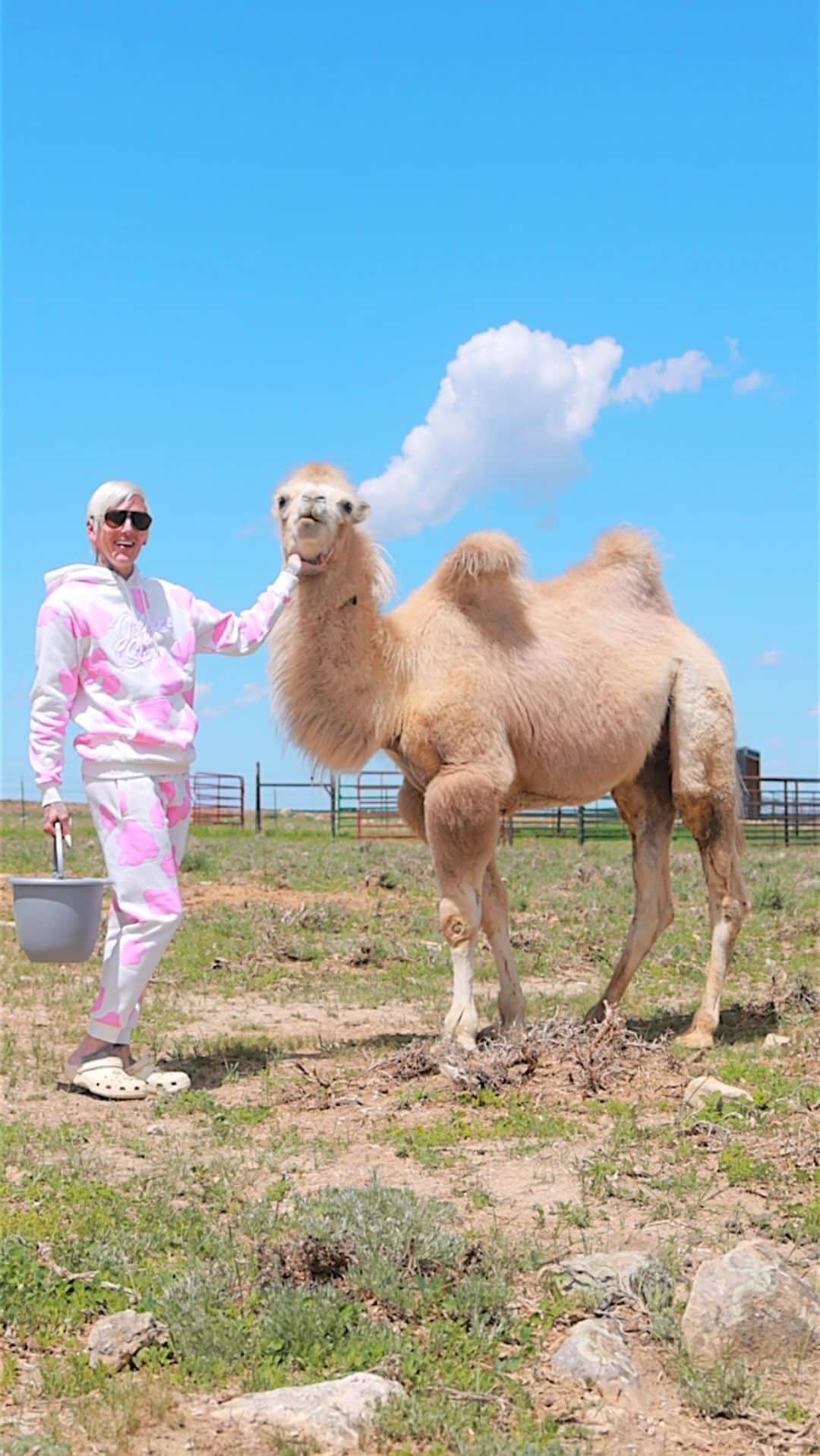 Jeffree Star Cosmeticsのインスタグラム：「Category is… FARMER JEFF! 🐫💖 The brand new “Pink Star Milk” hoodie & jogger cow print set launches THIS Friday!!! I always have the best time with the @staryakranch camels and love filming with them! 🤠 #jeffreestar #skincare #merch」