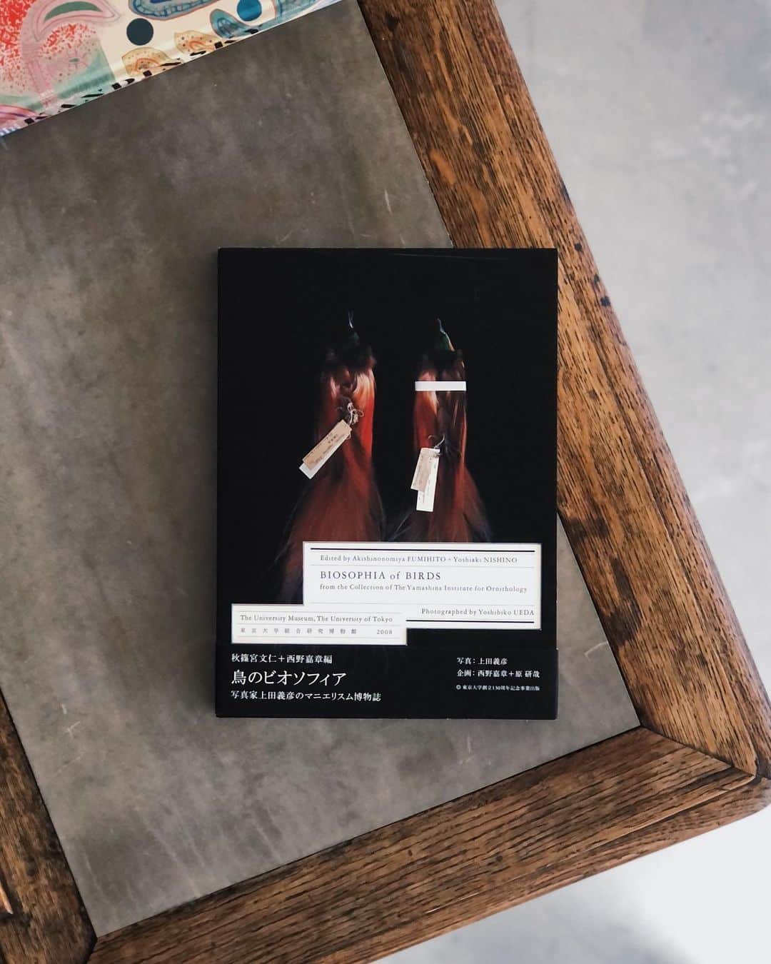 nostos booksのインスタグラム：「本日は上田義彦『鳥のビオソフィア』、『世界の仮面と神像』、『滅びゆく民家 全3冊揃』、ヴェルサイユ宮殿修復プロジェクトを記録した写真集など42冊を入荷しました。  オンラインストアへは商品タグをタップ◯ 　 入荷本からおすすめ10選  ----------  1冊目 『鳥のビオソフィア Biosophia of Birds』 写真家の上田義彦による鳥の博物誌。東京大学創立130周年記念特別展示「鳥のビオソフィア─ 山階コレクションへの誘い」展に際し、上田義彦が世界有数の鳥類コレクションを誇る山階鳥類研究所の鳥類標本を撮影したもの。鳥類たちが黒背景の前で新たな生命を得たように不思議な存在感を放つ、異色かつ美しい標本写真集。装丁は原研哉、伊能佐和子によるもの。  ----------  2冊目 『Parcours Museologique Revisite』 カリフォルニアを拠点に活動する写真家、ロバート・ポリドリの作品集。世界最大級の宮殿であり、フランスの絶対王政の象徴でもあるヴェルサイユ宮殿の保存プロジェクトを記録したもの。25年の歳月をかけて撮影された写真は、修復の過程で発生した政治的、美学的な問題を見つめ、ヴェルサイユ宮の進化の過程を映し出している。   ----------  3冊目 『世界の仮面と神像』 70年大阪万博のテーマ展示プロデューサーに就任した岡本太郎が、文化人類学者の泉靖一、民族学者の梅棹忠夫らと組織した世界民族資料調査団による資料集。オセアニア・アジア・ヨーロッパ・アフリカ・アメリカなど世界各地で収集された民芸品から、「仮面」と「神像」にフォーカス。各民族の自然観、素朴な様式、豊かな表現力を記録する。   ----------  4冊目 『日本宗教民俗図典 日本人のこころの原像をひらく 全3巻揃』 民俗研究家・萩原秀三郎と民俗写真家・須藤功が、各地を取材し日本の風習をまとめた絵引事典。信仰や祭事、葬儀の習俗について豊富な図版と丁寧な解説で紹介している。「祈りと救い」「葬送と供養」「四季の行事」の3巻揃え。   ----------  5冊目 『マンダラ群舞 ラダックの仏教仮面世界』 インド北部・チベットの西に位置するラダック地方の仏教寺院で開催される仮面舞踏祭を、写真家の加藤敬が撮影。悪霊を追い払ために群舞する仏、祭事を執り行う僧侶、祈りを捧げる人びとの姿を記録。後半では仮面舞踏の由来、宗派ごとの特徴、ラダックの風土についてなどを解説。構成・造本は杉浦康平。  ----------  6冊目 『滅びゆく民家 全3冊揃』 日本の民家研究家であり建築家の川島宙次が、伝統的な日本家屋をまとめた建築資料集。「屋根・外観」「間取り・構造・内部」「屋敷まわり・形式」の三冊セット。モノクロの写真や図版、テキストによる解説を収録。日本家屋の構造、詳細な仕組み、造形など、失われつつある文化を知る貴重な資料。   ----------  7冊目 『Frank Lloyd Wright: Unpacking the Archive』 MoMAで開催された展示会に際し発行された作品集。フランク・ロイド・ライトの設計図やスケッチを豊富に収録しながら、社会的・環境的にも配慮して手がけられた氏の作品について新たな視点から考察する。  ----------  8冊目 『建築紅花青鳥図』 戦前に建てられた洋風建築に刻まれた鳥獣や植物の意匠をあつめた写真集。軒下や、窓、石の銀行からレンガのオフィスにいたるまで、町のいたるところに隠された唐草模様やアカンサス、獅子、フクロウなどを掲載。写真は増田彰久、詩文は塚本邦雄、解説は藤森照信。造本と構成は杉浦康平、植田実など制作陣も豪華な一冊。   ----------  9冊目 『ガウディの宇宙』 日本の写真家、細江英公がガウディの建築作品を撮影した写真作品集。225点の写真図版を収録するほか、ジョアン・ミロによる絵序詩、瀧口修造による序文も併せて掲載。造本構成は亀倉雄策によるもの。  ----------  10冊目 『Zisls』 ドイツの芸術家、Beate Gutschowの作品集。自然への賛美と、自然をコントロールしようとする人間の絶え間ない欲望について、見る者に考えを促す4つのシリーズを紹介。完璧な牧歌的風景を表現した「LS」、ディストピア的な建築物シリーズを収めた「S」、何の変哲もない使い古されたオブジェクトが、演出によってどのように魅力的なオブジェクトへと変化するかを示した「I」、そして写真とドローイングを組み合わせ、初めてドキュメンタリー的なアプローチを追求した「Z」シリーズを収録。  ----------------------  店舗情報はこちら @nostosbooks  ----------------------  オンラインストアは毎日19時更新○  ----------------------  #上田義彦 #nostosbooks #ノストスブックス #祖師ヶ谷大蔵 #砧」