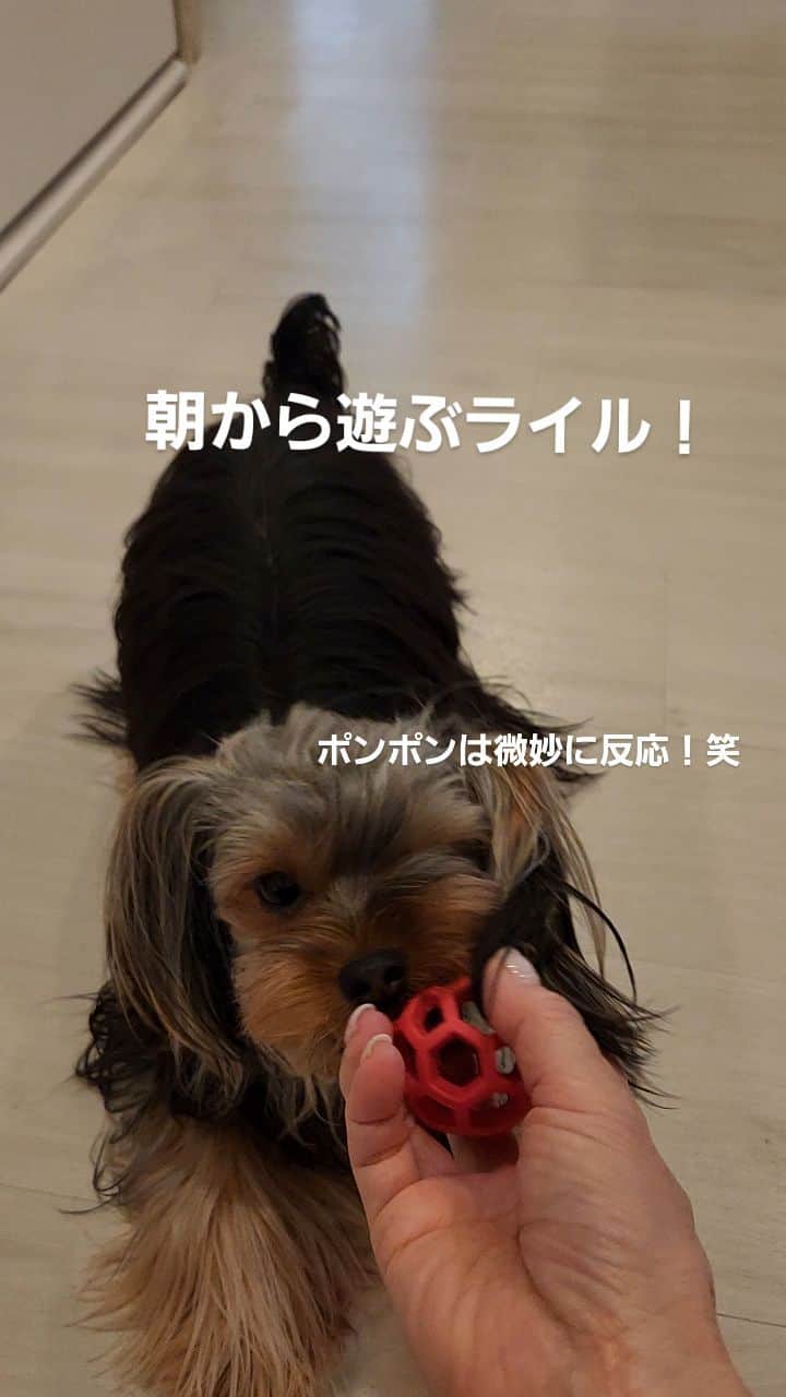 武東由美のインスタグラム