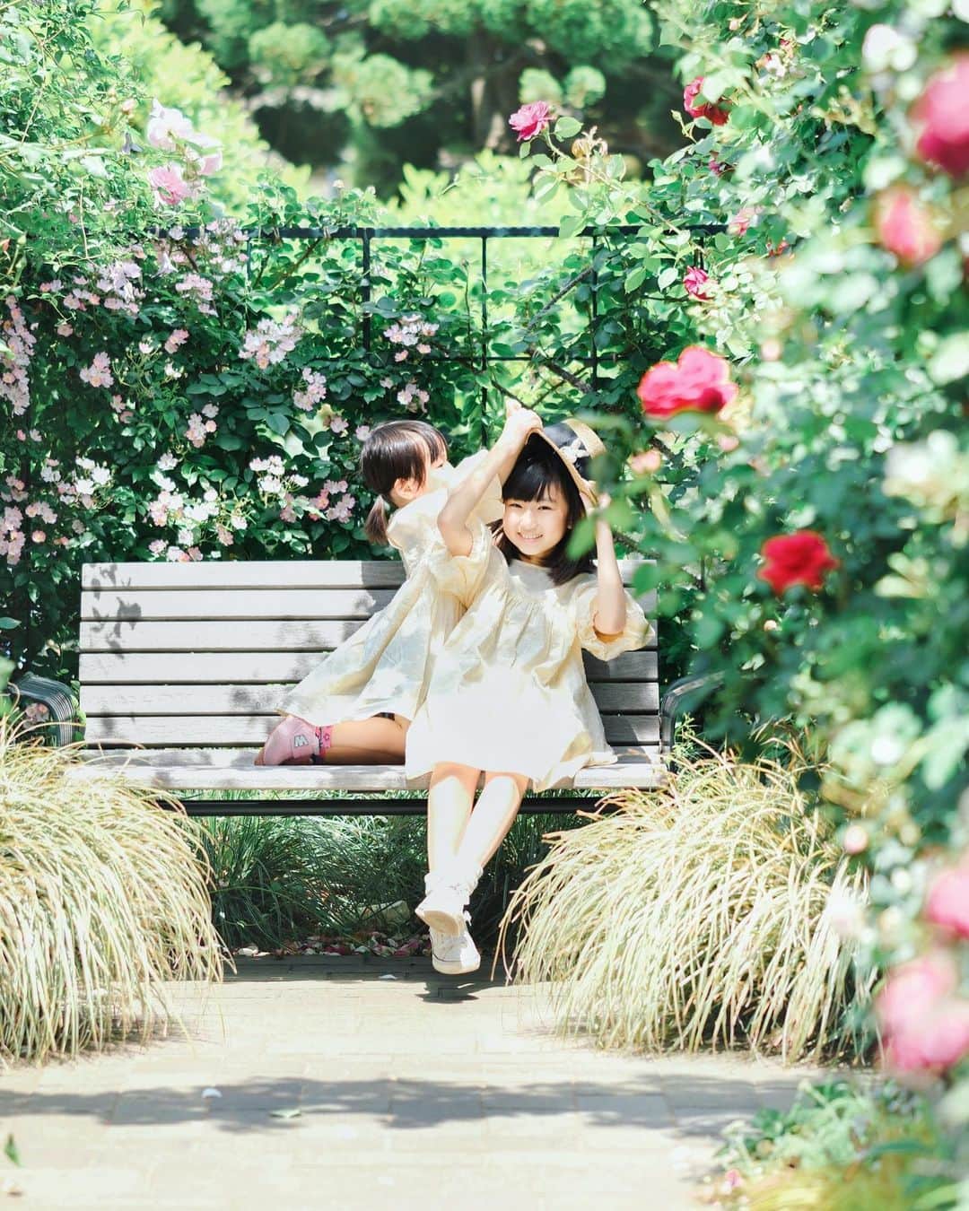 あすかさんのインスタグラム写真 - (あすかInstagram)「・ GWに行った横浜のバラ園。 ３歳になる姪っ子ちゃんに みんなで振りまわされながら メロンメロンになった🥹💕 自由すぎるし止まらないし 人も多いし強風すぎるし バラを優雅に楽しむどころじゃなかったけど 何したって可愛い姪っ子ちゃんに 娘も私もめちゃくちゃ癒された🥰 ・」6月15日 8時05分 - asuuuka_