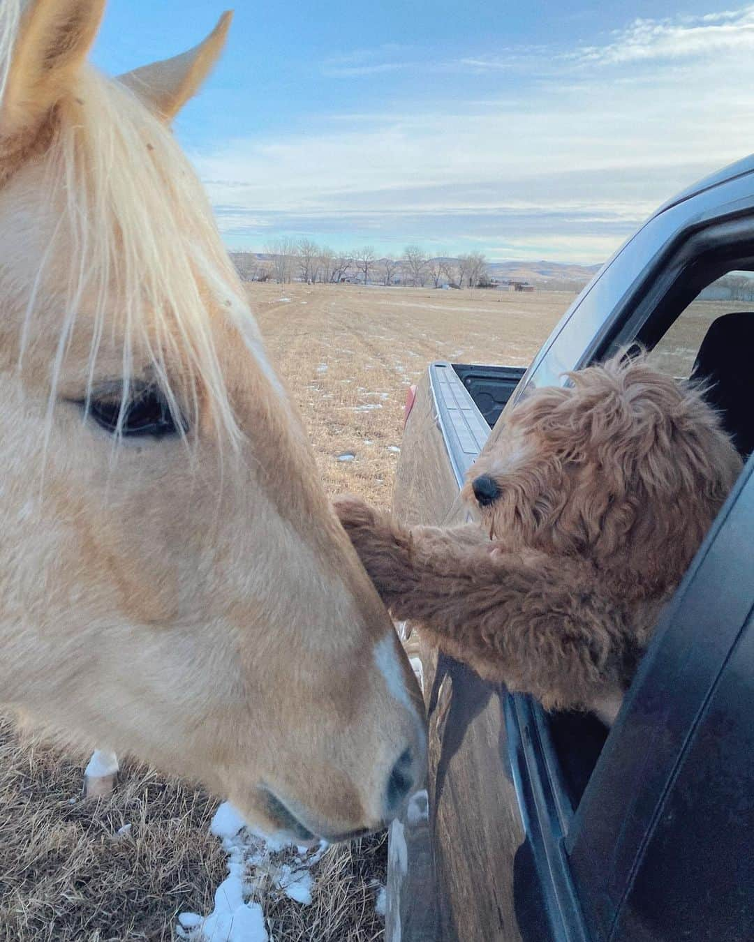 Katelyn Byrdさんのインスタグラム写真 - (Katelyn ByrdInstagram)「Best friend appreciation post 🐶💕」6月15日 8時16分 - katelynbyrd