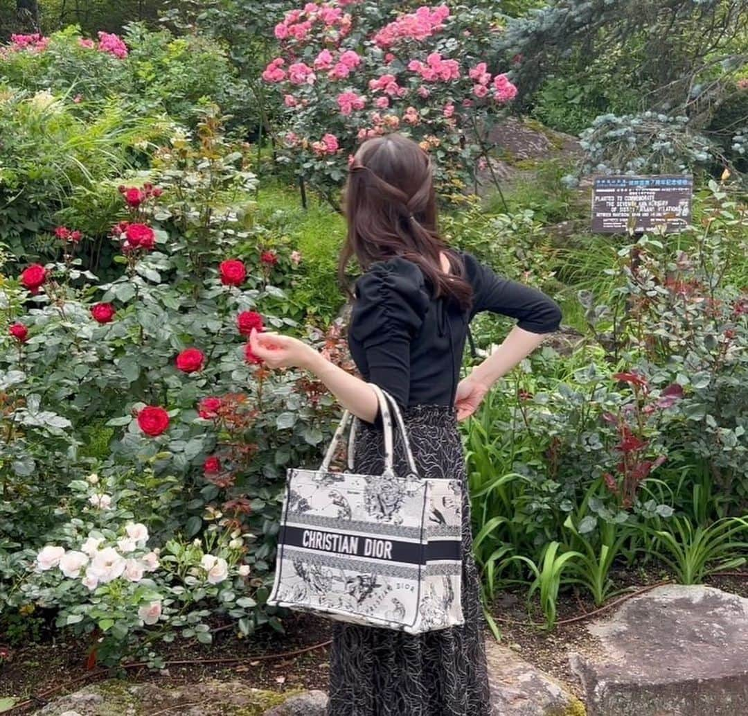 天然かのんさんのインスタグラム写真 - (天然かのんInstagram)「薔薇園🌹  #強羅公園#ノーマルカメラ」6月15日 8時17分 - amane__mizuki1222