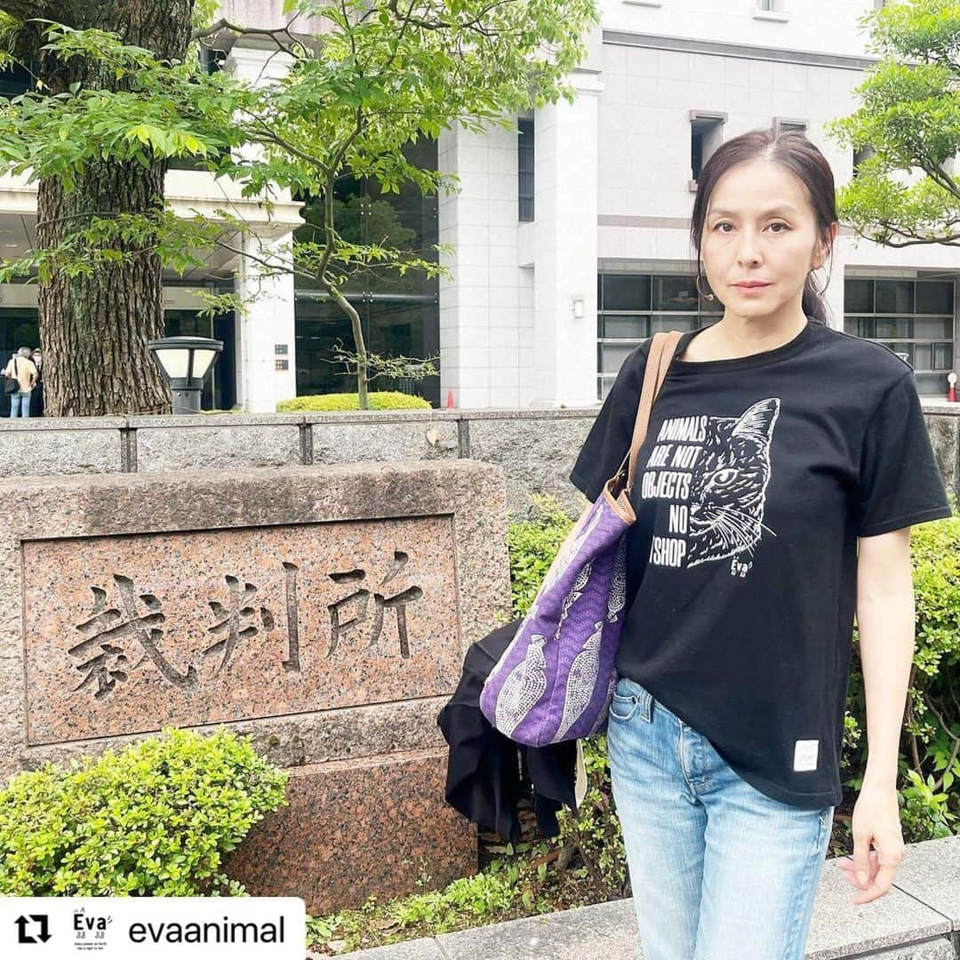 杉本彩さんのインスタグラム写真 - (杉本彩Instagram)「* * 呆れかえる弁護で無罪を主張した。そもそも動物愛護管理法で起訴されていないことがおかしいのに、そのうえ獣医師法違反で無罪を主張とは怒りが収まらない。  #Repost @evaanimal with @use.repost ・・・ 6月13日、京都府京丹波町の犬のブリーダーWANLINE(ワンライン)で代表を務めていた夫とその妻の第2回公判が京都地裁であり傍聴してきました。  長野県松本市の無資格者による帝王切開事件に続き、またもや獣医師免許を持たない者による帝王切開及びマイクロチップの装着が行われていた事件となります。 第2回公判の弁護人冒頭陳述では、自己所有の動物は飼育動物に当たらず、診療業務とは言えないことから無罪を主張しました。 第2回公判の傍聴レポート是非お読み下さい。  ■京都ブリーダー無資格帝王切開事件 第2回公判傍聴レポート https://www.eva.or.jp/kyoutanbagyakutai ※ストーリーからリンクしています #京都府京丹波町 #無資格者による帝王切開 #無資格者によるマイクロチップの装着 #動物虐待 #獣医師法違反 #動物愛護法違反 #犬 #杉本彩 #動物環境福祉協会eva」6月15日 8時59分 - sugimoto_aya0719