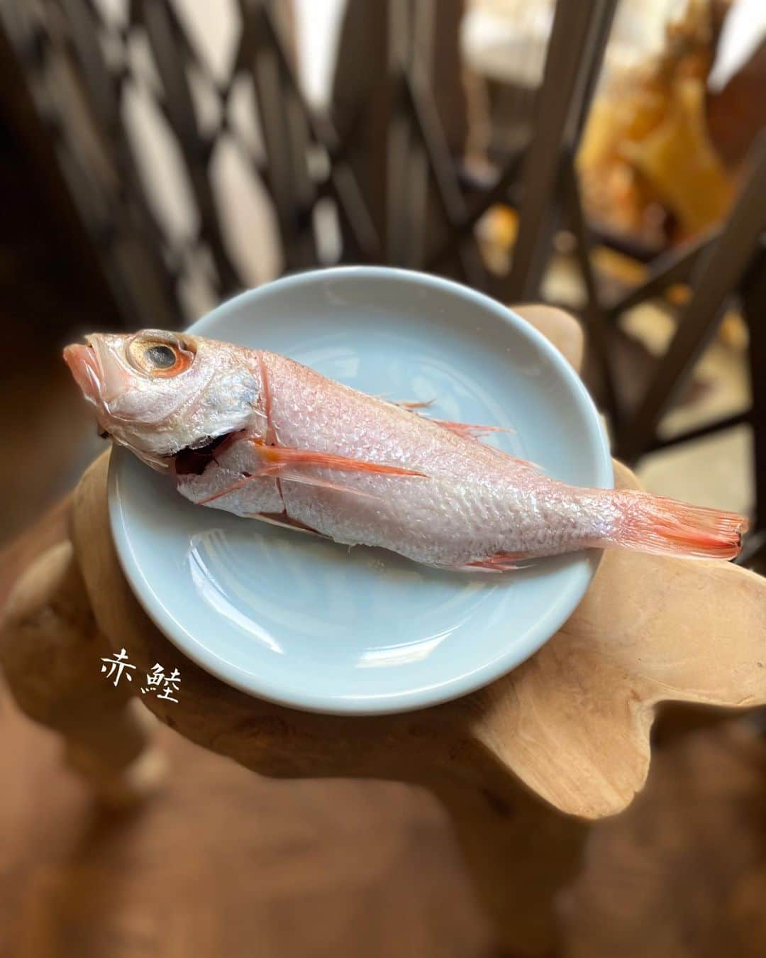 香港海鮮酒家 Lei U Munのインスタグラム：「北陸産赤むつ(のどぐろ)🐟 シンプルな炙り広東魚滑も 😋  #のどぐろ #あかむつ  #富ゆき #tomiyuki_umekita  #osaka #香港 #福島区ディナー #梅田ディナー #うめきたディナー #大阪中華 #大阪グルメ #あひる#山鳩#丸焼き #ミル貝 #中華#ワインバー #レトロ香港 #中華好き #営業中はポジティブワンオペ」