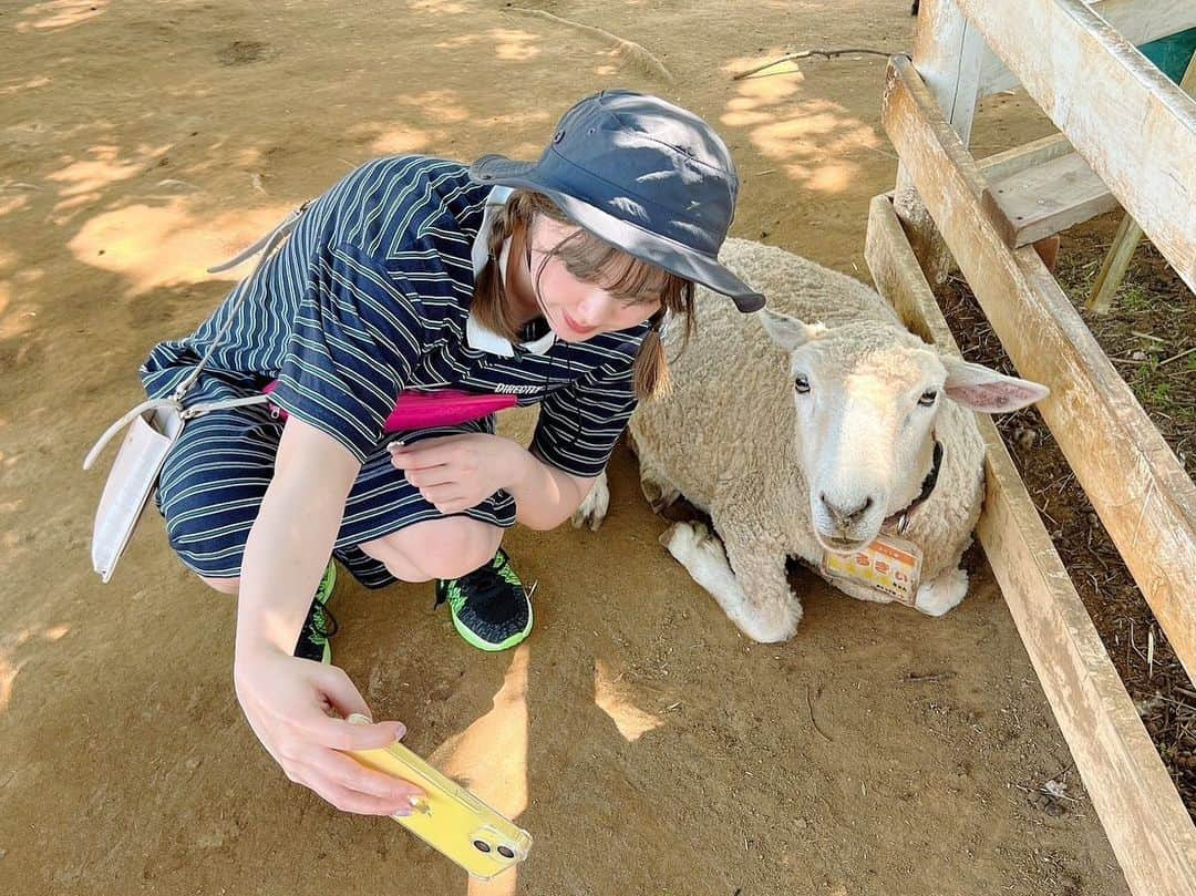 長江里加さんのインスタグラム写真 - (長江里加Instagram)「🏕️③ 〜牧場編〜 すっごい「めー！！」って言う ※大きめの音出ます。」6月15日 14時52分 - o_rikachi_o