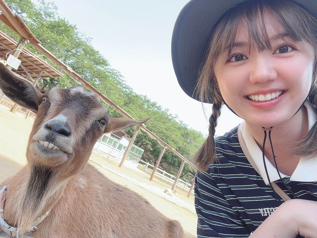 長江里加のインスタグラム：「🏕️③ 〜牧場編〜 すっごい「めー！！」って言う ※大きめの音出ます。」