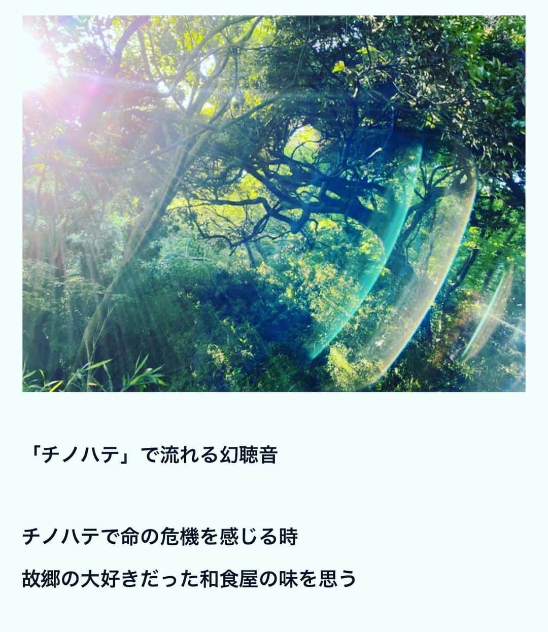 鶴田真由さんのインスタグラム写真 - (鶴田真由Instagram)「noteアップしました。  https://note.com/mayutsuruta/n/n3f1c0fd524a1」6月15日 10時13分 - mayutsuruta