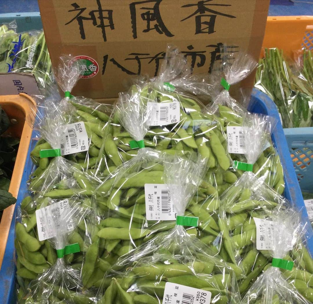 道の駅やちよさんのインスタグラム写真 - (道の駅やちよInstagram)「* おはようございます😃 夏野菜少しずつ入荷してきています‼️ とうもろこし🌽枝豆えだまめ🍺ズッキーニ おいしい季節になってきました  花屋からは、ジャンボコリウス‼️大きいです‼️ お庭のカラーリーフにいかがですか😄  #道の駅やちよ　#農産物直売所　#夏野菜　#カラーリーフ　#新鮮野菜」6月15日 10時09分 - michinoeki_yachiyo090720