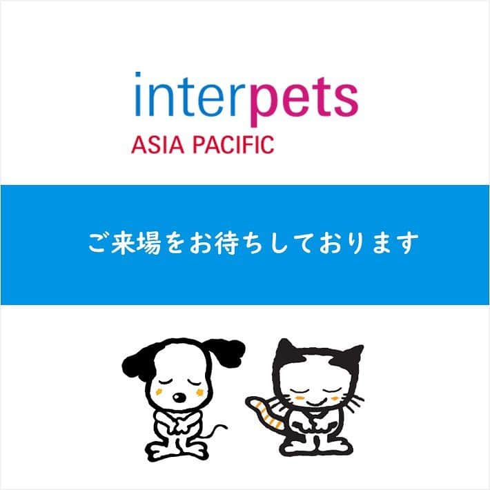 ライオン商事株式会社さんのインスタグラム写真 - (ライオン商事株式会社Instagram)「【イベント出展】第1回インターペット大阪📣  インテックス大阪で開催されるペットイベント 「第1回インターペット大阪」に出展いたします。🐶🐱  開催日：2023年6月17日(土)～6月18日(日) ※6月16日（金）はビジネスデーになります。  場所：インテックス大阪  ライオンペットブース：2-C042  ～ライオンペットブースの見どころ～ 1️⃣新商品展示コーナー 実演販売士「ソルジャー藤巻さん」による新商品紹介動画がご覧いただけます。 思わず見入ってしまうかも！？  2️⃣ペットの歯みがき教室 当社獣医師による歯みがき教室を開催いたします。🪥🧑‍⚕️ 参加いただいた方にはサンプルセットをプレゼント！ ※ご参加には当日ブースで配布する予約整理券が必要です。  ＜公式サイトより＞ ・一般入場券は完売済み。 ※追加の販売、会場での販売はなし。  皆様のご来場をお待ちしております♪  #インターペット大阪 #インターペット大阪2023 #インターペット #イベント #ペットイベント #インテックス大阪 #lion #lionpet #lionpetdog @lion_pet_dog #dog #犬#イヌ #ワンコ #いぬスタグラム #いぬとの生活 #いぬ好きさんと繋がりたい #ワンコのいる生活  #イヌのいる暮らし #lionpet #ライオンペット #いぬとのくらし #イヌ部 #犬大好き部 #いぬとくらす #イヌのいる生活」6月15日 10時43分 - lion_pet_dog