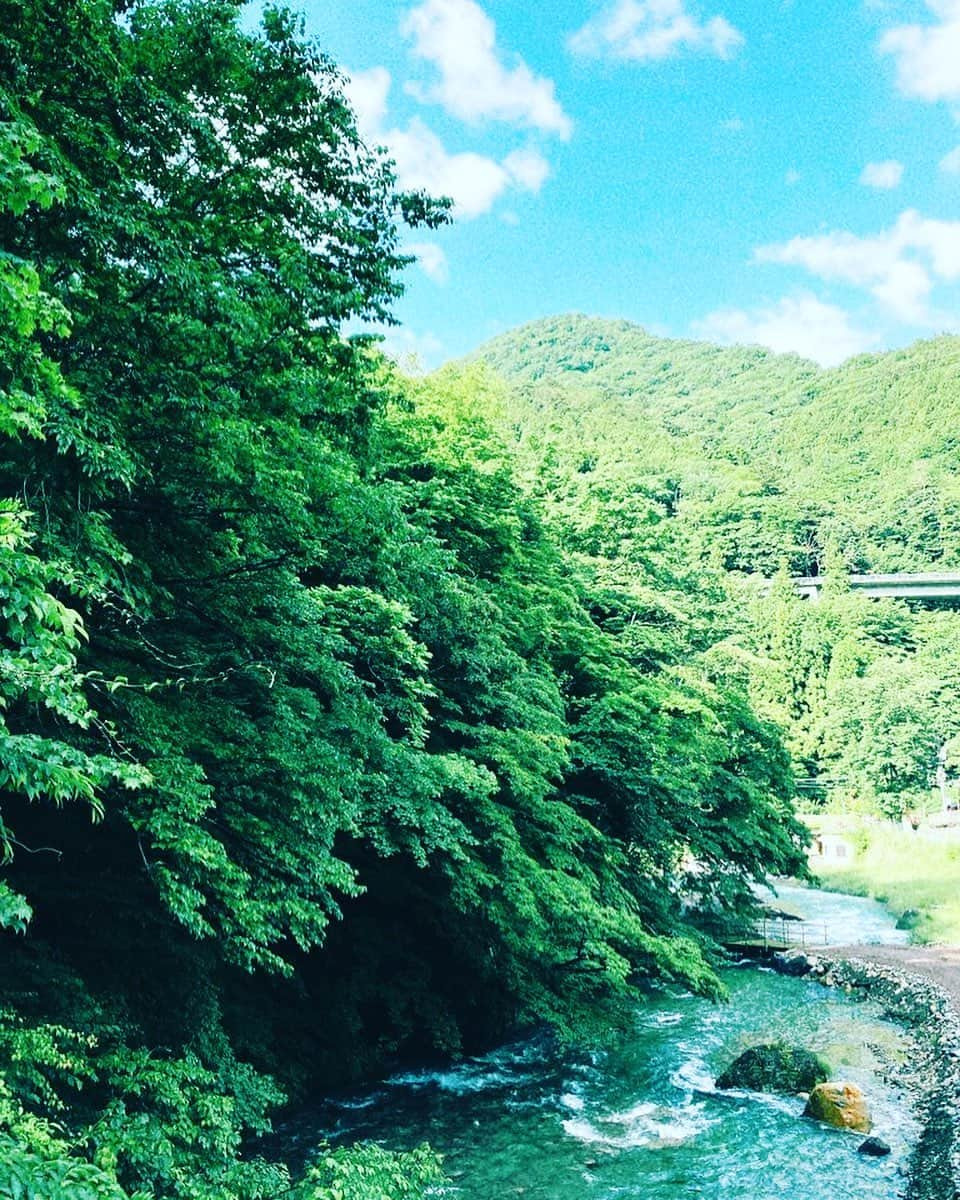 藤原絵里さんのインスタグラム写真 - (藤原絵里Instagram)「・ 気持ち良い🌲 ・ #四万温泉 #四万川」6月15日 11時10分 - erifujiwara0523