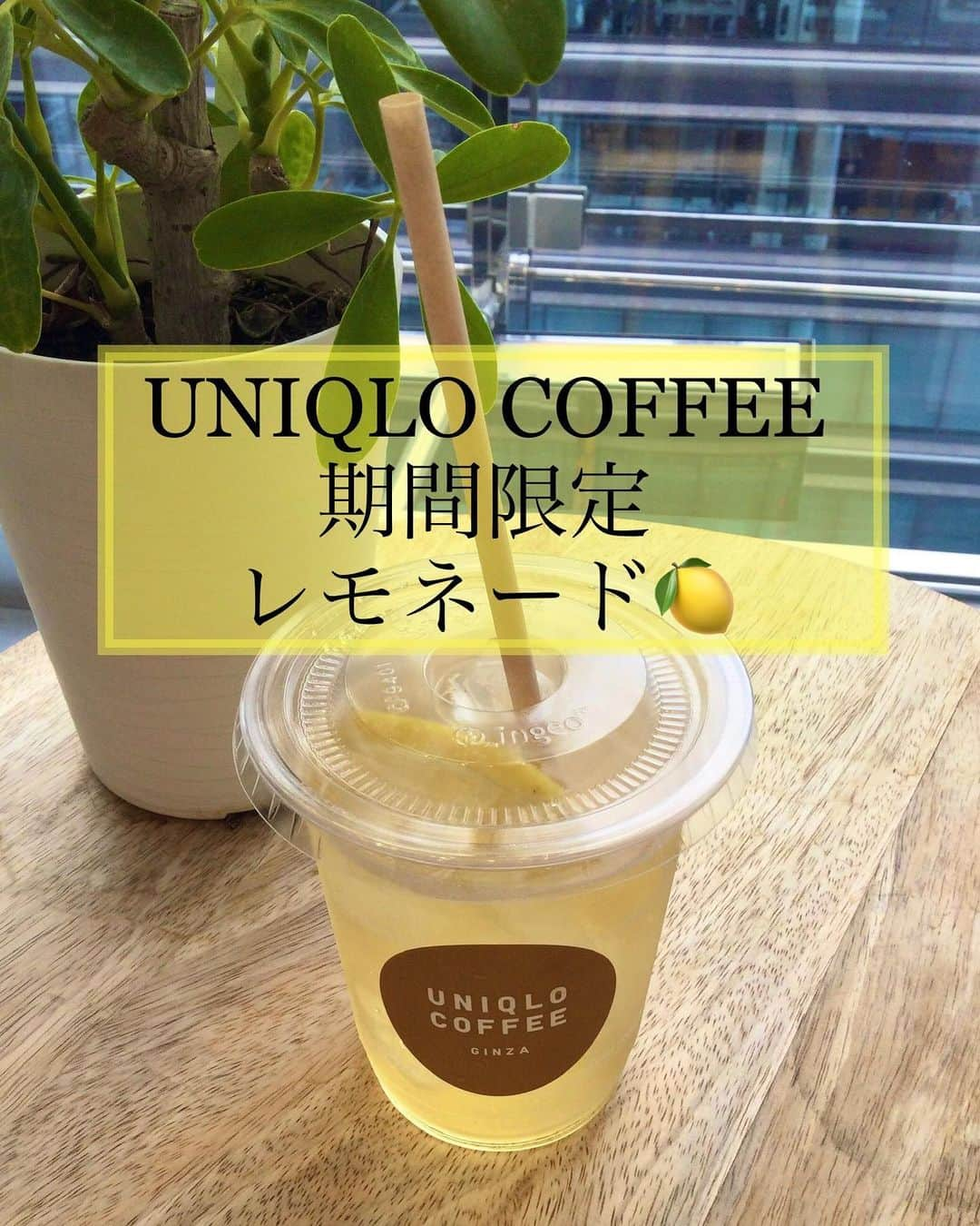 ユニクロ 銀座店のインスタグラム：「【期間限定！UNIQLO COFFEE ハニーレモネード発売🍋】  12階UNIQLO COFFEEにて、ハチミツたっぷりのレモネード(400円)を期間限定で発売中🐝 すっきりとしたレモンと優しい甘さのハチミツが相性抜群🍋輪切りレモンで見た目もかわいく、夏らしい爽やかなドリンクです！  ご来店の際には、ぜひUNIQLO COFFEEにもお立ち寄りくださいませ😊   #ユニクロ銀座店#ユニクロ#uniqloginza#銀座#ginza#ユニクロコーヒー#uniqlocoffee#レモネード#銀座カフェ#ginzacafe#東京カフェ#tokyocafe」