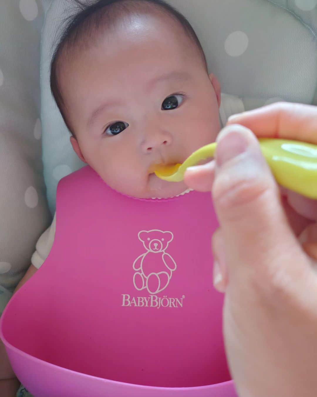 阪本麻美のインスタグラム：「離乳食始まってます(⁠＾⁠3⁠＾⁠♪  離乳食作りって大変やけど、無心で作ってる時間が結構好き！！  10倍粥ににんじん、カボチャ!! ほうれん草はどぅかなぁと思ってたけど、ほうれん草が1番興奮して食べてたw  明日は初のじゃがいもさん!!  沢山食べて大きくなぁれ♪⁠ ⁠\⁠(⁠^⁠ω⁠^⁠\⁠ ⁠)  #女の子赤ちゃん#5ヶ月赤ちゃん#赤ちゃんのいる生活 #女の子ママ#離乳食#離乳食初期#離乳食作り #10倍粥 #にんじん #カボチャ #ほうれん草」