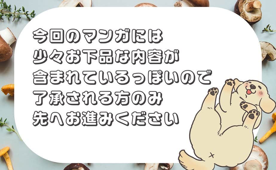 餅付きなこのインスタグラム：「小さい時のアイビーは、とにかくおならをたくさんするコで、ぷっぷしてるのがなんか可愛くておとしゃんといつも話題にしていました。  今は大きくなってぜんぜんおならはしなくなりましたが、小さい時のエピソードは今でも笑い話として話題にのぼります。  写真は、5ヶ月ごろの絶賛しいたけ茶碗蒸し職人してた頃のアイビー。 しいたけ探し…ではなく、お庭でいっぱい穴掘りをして遊んでいました☺️  #漫画 #イラスト #犬漫画 #絵日記 #エッセイ漫画 #コミックエッセイ#マンガ #日常漫画 #ゴールデンレトリバー #goldenretriever #ゴールデンレトリーバー #犬と生活 #4コマ漫画 #犬 #dog #dogstagram #instadog #わんこ #ふわもこ部 #いぬ #ilovemydog #いぬのきもち #大型犬 #大型犬のいる生活 #まめとアーティ #餅付きなこ #おさんぽですし！」
