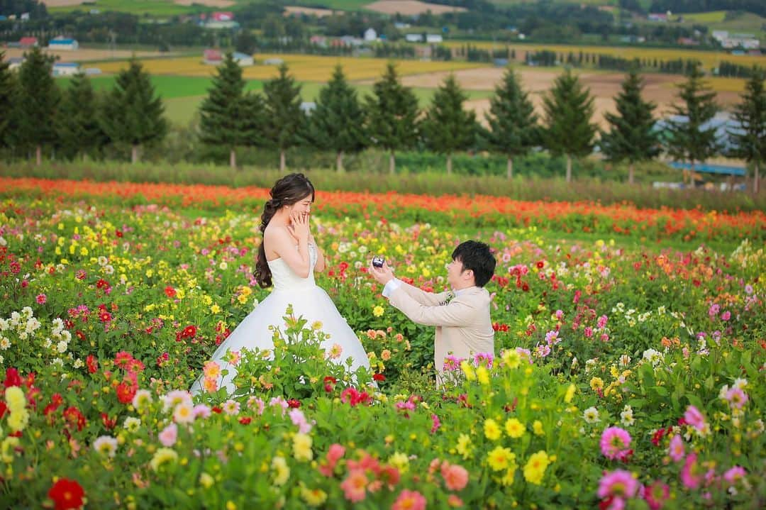 STUDIO SOLAさんのインスタグラム写真 - (STUDIO SOLAInstagram)「⁡ 【北海道の大自然で最高のフォトウェディング🌸】  何種類もある花畑でのロケーションは圧巻です✨ フラワーランドで思い出に残る撮影しませんか！？ 8月9月撮影絶賛受付中😀  毎年大好評の 北海道スタジオSOLAが 2023年は6月〜10月で期間限定OPEN☀️  ⁡ 詳しくは最寄りの店舗までお電話またはメールにて お気軽にお問い合わせ下さい✨ ⁡ お問い合わせはお早めに♫ ⁡ ⁡ デコルテ公式アカウント ▷▷ @decollte_weddingphoto ⁡ スタジオアクアSOLA ▷▷ @studiosola_hokkaido  ⁡ ⁡ #d_weddingphoto #デコルテフォト #スタジオソラ #美瑛前撮り　 #スタジオSOLA #北海道ウェディング　 #撮る結婚式 #ウェディング #ウェディングフォト #フォトウェディング #道産子花嫁　 #札幌花嫁 #プレ花嫁 #卒花嫁　 #関東花嫁 #リゾートウェディングフォト #花嫁準備 #前撮り #後撮り #結婚式 #結婚式準備  #ヘアメイク #洋装前撮り #和装前撮り #ドレス試着 #北海道前撮り  #ウェディングフェア #プレ花嫁さんと繋がりたい #全国のプレ花嫁さんと繋がりたい #日本中のプレ花嫁さんと繋がりたい」6月15日 12時40分 - studiosola_hokkaido