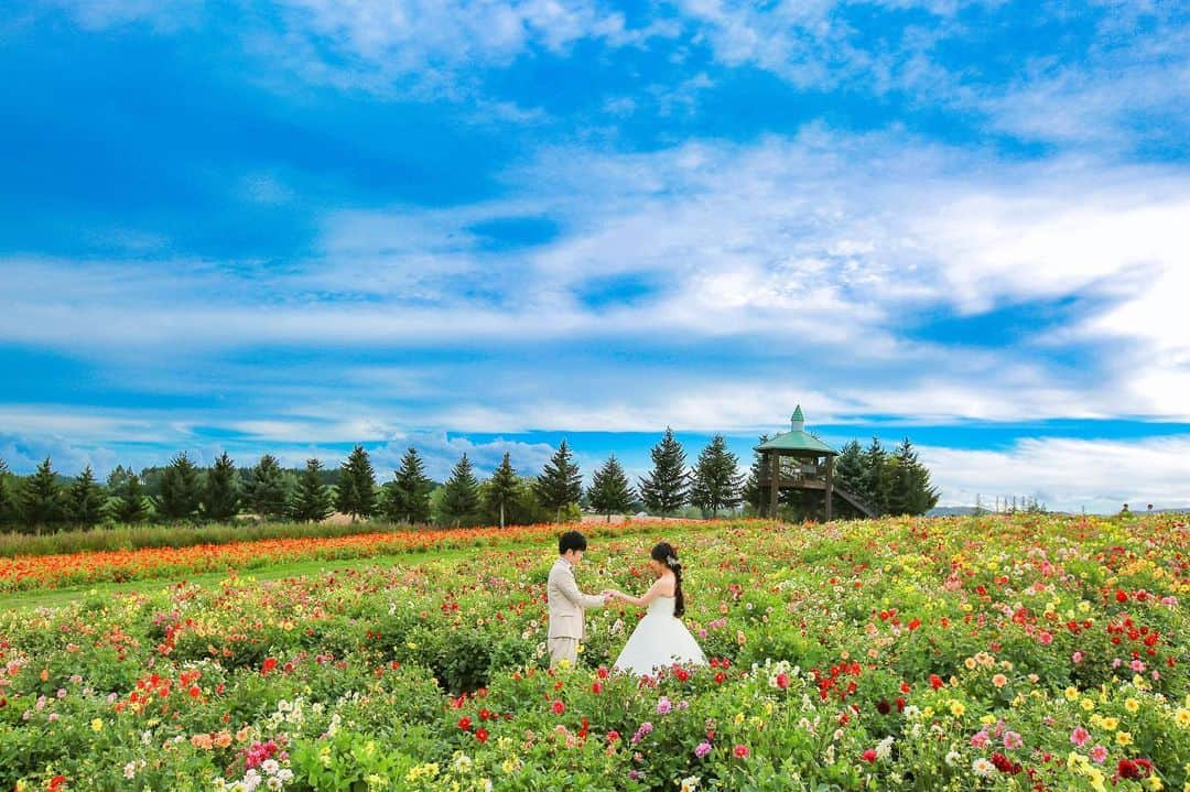 STUDIO SOLAのインスタグラム：「⁡ 【北海道の大自然で最高のフォトウェディング🌸】  何種類もある花畑でのロケーションは圧巻です✨ フラワーランドで思い出に残る撮影しませんか！？ 8月9月撮影絶賛受付中😀  毎年大好評の 北海道スタジオSOLAが 2023年は6月〜10月で期間限定OPEN☀️  ⁡ 詳しくは最寄りの店舗までお電話またはメールにて お気軽にお問い合わせ下さい✨ ⁡ お問い合わせはお早めに♫ ⁡ ⁡ デコルテ公式アカウント ▷▷ @decollte_weddingphoto ⁡ スタジオアクアSOLA ▷▷ @studiosola_hokkaido  ⁡ ⁡ #d_weddingphoto #デコルテフォト #スタジオソラ #美瑛前撮り　 #スタジオSOLA #北海道ウェディング　 #撮る結婚式 #ウェディング #ウェディングフォト #フォトウェディング #道産子花嫁　 #札幌花嫁 #プレ花嫁 #卒花嫁　 #関東花嫁 #リゾートウェディングフォト #花嫁準備 #前撮り #後撮り #結婚式 #結婚式準備  #ヘアメイク #洋装前撮り #和装前撮り #ドレス試着 #北海道前撮り  #ウェディングフェア #プレ花嫁さんと繋がりたい #全国のプレ花嫁さんと繋がりたい #日本中のプレ花嫁さんと繋がりたい」