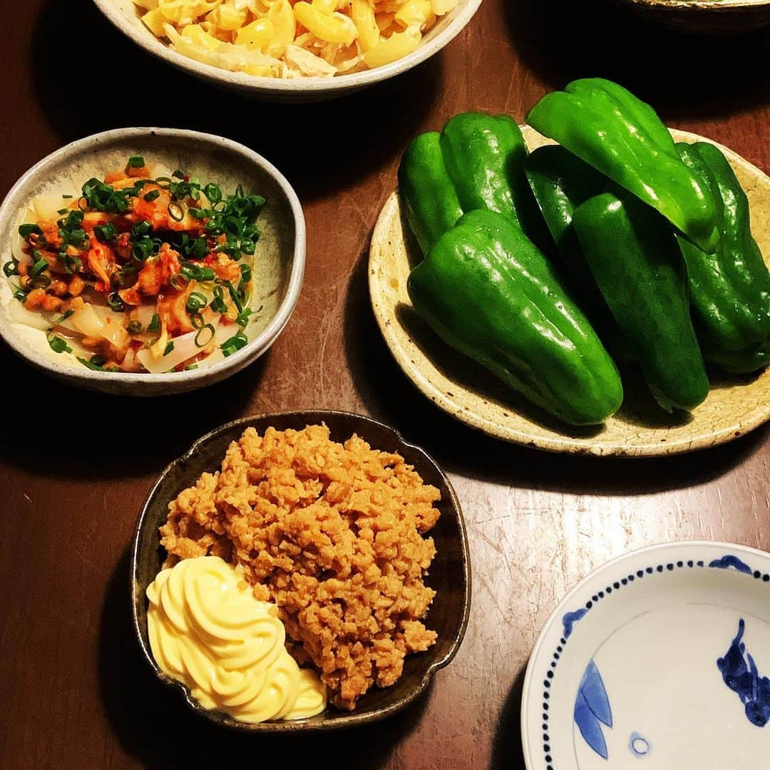 志摩有子さんのインスタグラム写真 - (志摩有子Instagram)「パリパリピーマンに鶏肉味噌（ちょいマヨ） イカ納豆キムチ、セロリとツナ入りマカロニサラダ、枝豆（見えてないけど）でお疲れさま。鶏肉味噌は胸肉の挽き肉を使って炒めずに調味料を加えてそぼろを作るのと同じように混ぜながら加熱したからさっぱり仕上がる。ピーマンは冷水に浸してパリパリに。  #パリパリピーマン #ピーマンと肉味噌 #晩酌セット #ビールのあて #おつまみごはん」6月15日 22時43分 - ariko418