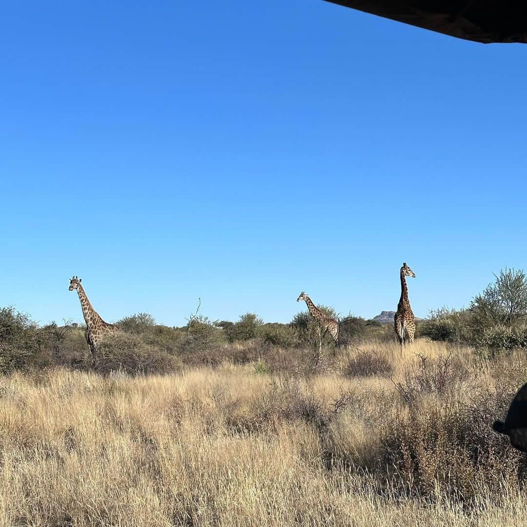 アンドレア・ペターニャさんのインスタグラム写真 - (アンドレア・ペターニャInstagram)「Namibia❤️」6月15日 23時25分 - andreapetagna