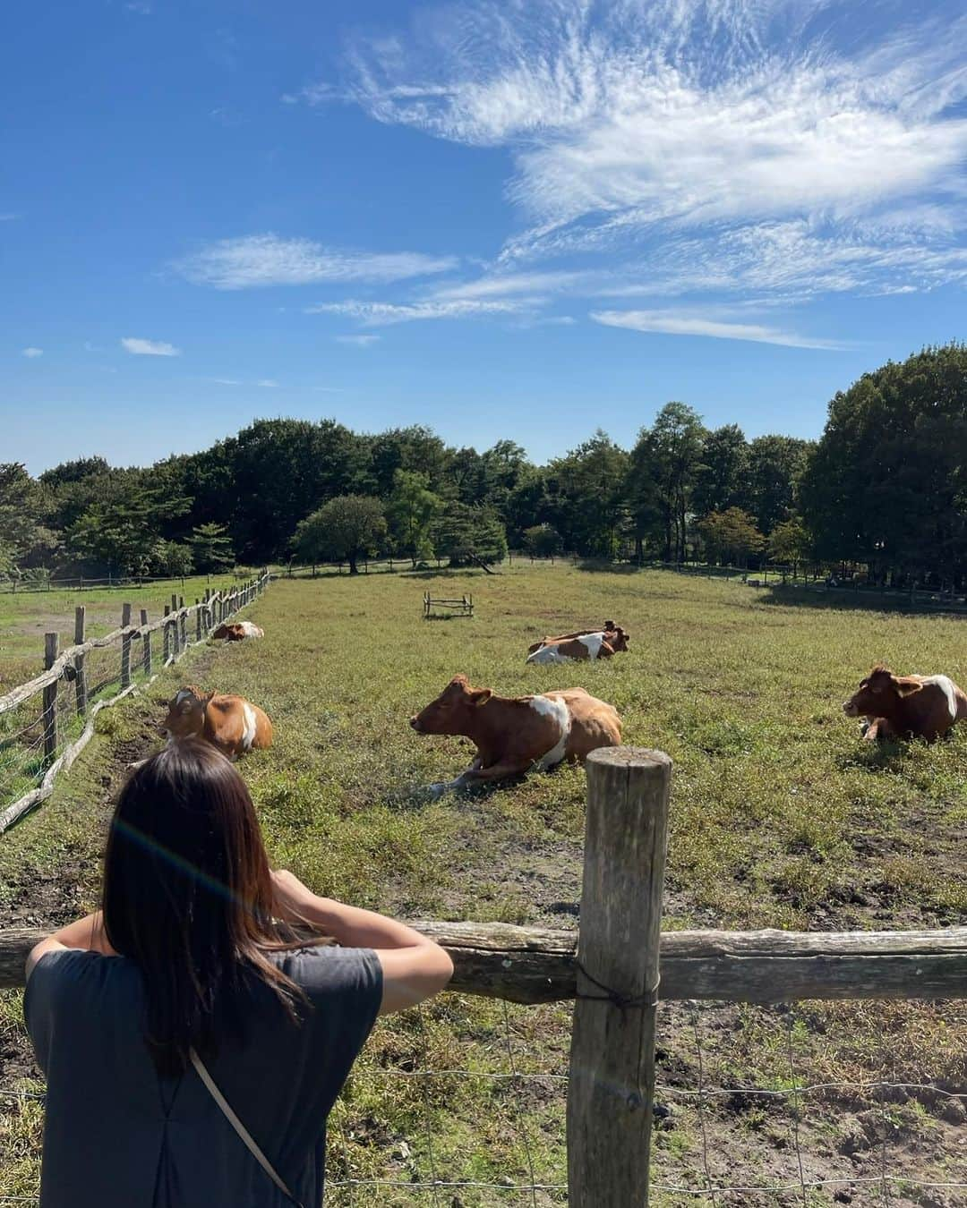 柚木えりなさんのインスタグラム写真 - (柚木えりなInstagram)「6月15日は #栃木県民の日 👑  栃木県は今日で１５０歳を迎えました👏  魅力度ランキングが低くても、栃木にはたくさんの魅力があるのです✨ ぜひぜひ遊びに来てくださーい☺️🍓  📷... #栃木ゴールデンブレーブス #始球式 ⚾️ #奥日光 #華厳滝 #中禅寺湖 🍁 #日光東照宮 #見ざる言わざる聞かざる ⛩️ #東武ワールドスクエア 🌏 #那須どうぶつ王国 🐒 #那須高原 #南ヶ丘牧場 🐮  #鬼怒川温泉 ♨️ #宇都宮餃子 🥟 #いちご王国栃木 🍓 #あしかがフラワーパーク 🌸」6月15日 23時48分 - erina_yuzuki