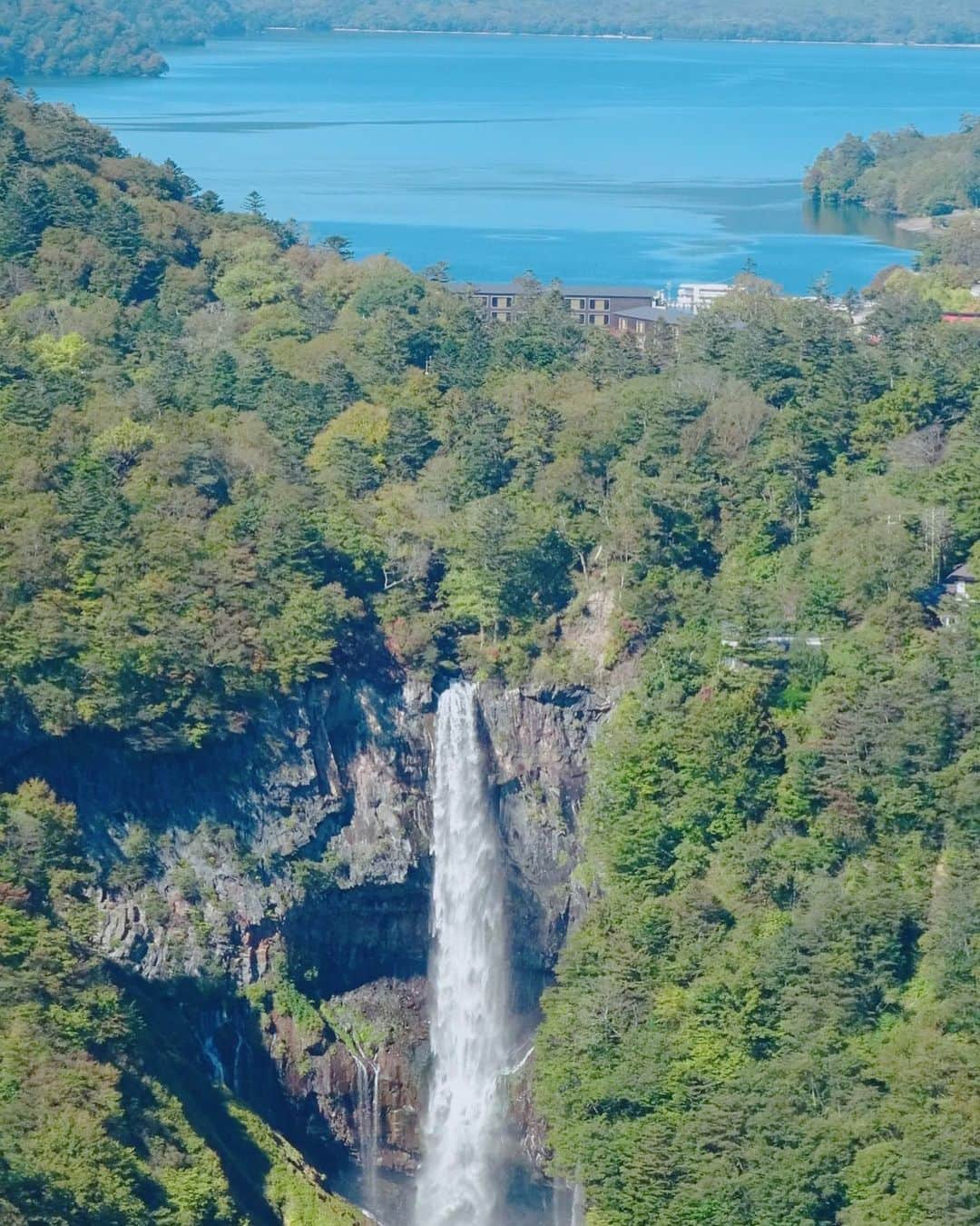 柚木えりなさんのインスタグラム写真 - (柚木えりなInstagram)「6月15日は #栃木県民の日 👑  栃木県は今日で１５０歳を迎えました👏  魅力度ランキングが低くても、栃木にはたくさんの魅力があるのです✨ ぜひぜひ遊びに来てくださーい☺️🍓  📷... #栃木ゴールデンブレーブス #始球式 ⚾️ #奥日光 #華厳滝 #中禅寺湖 🍁 #日光東照宮 #見ざる言わざる聞かざる ⛩️ #東武ワールドスクエア 🌏 #那須どうぶつ王国 🐒 #那須高原 #南ヶ丘牧場 🐮  #鬼怒川温泉 ♨️ #宇都宮餃子 🥟 #いちご王国栃木 🍓 #あしかがフラワーパーク 🌸」6月15日 23時48分 - erina_yuzuki