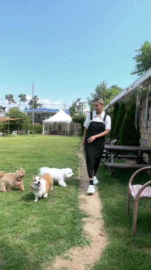 ペ・ユンジョンのインスタグラム：「강아지와함께🐶」